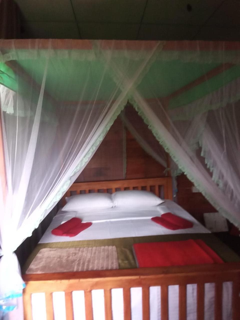 Woodland Hideaway in Sinharaja photo 6