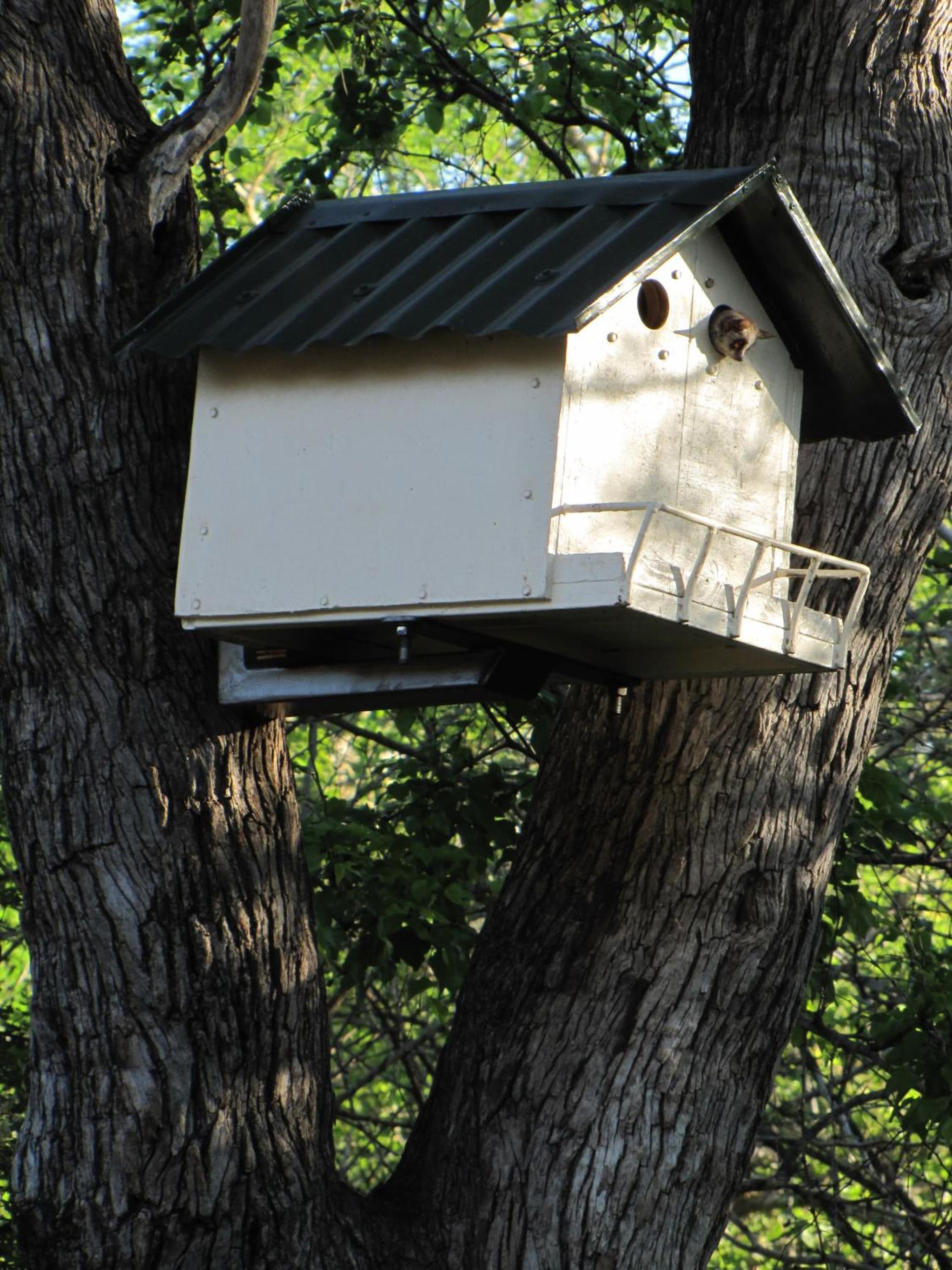 SERENITY Du Bois Lodge photo 6
