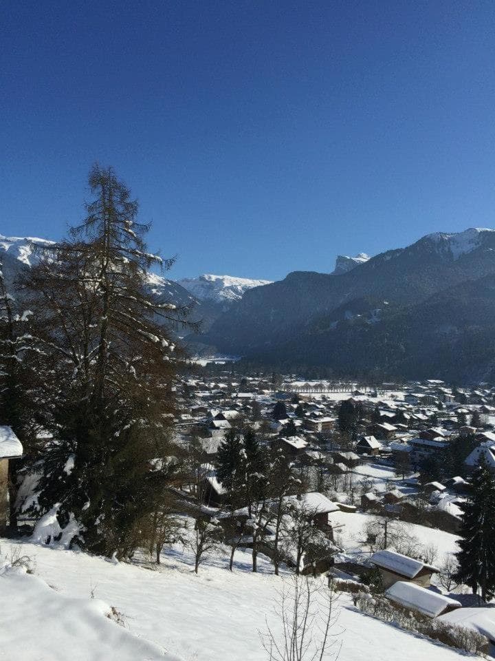 Edelweiss photo 8