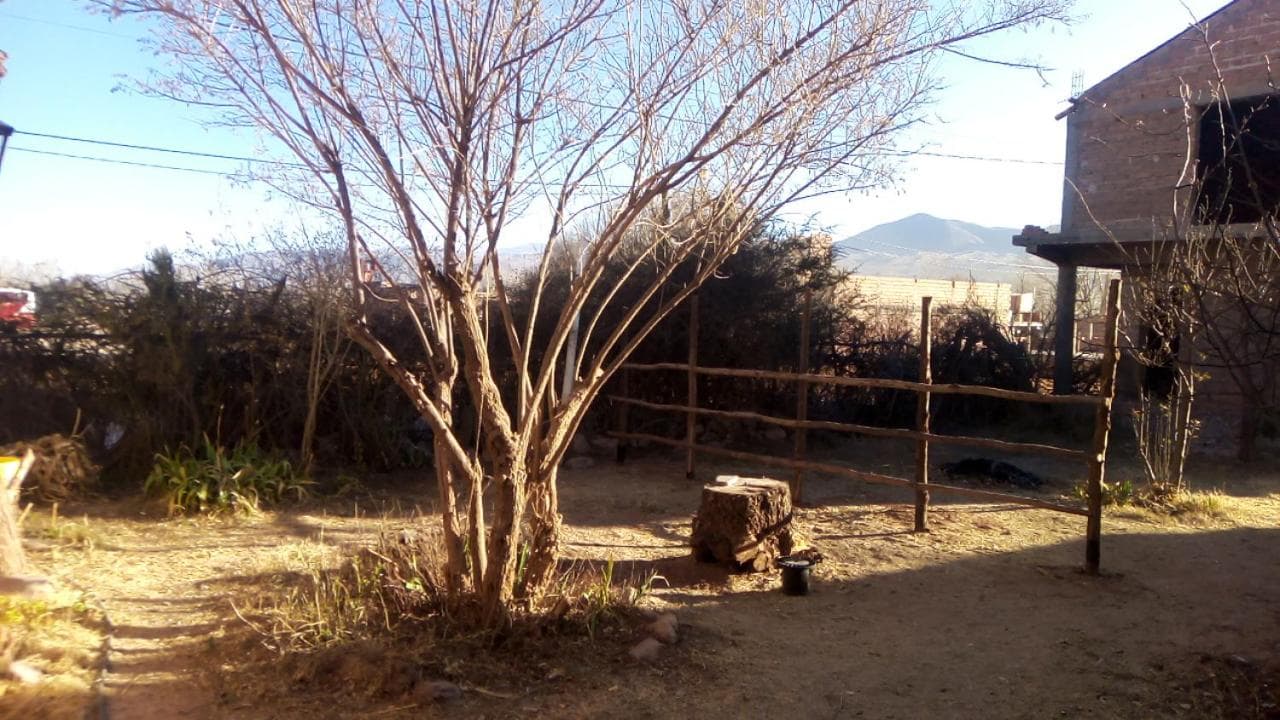 Pacha Wasi photo 3