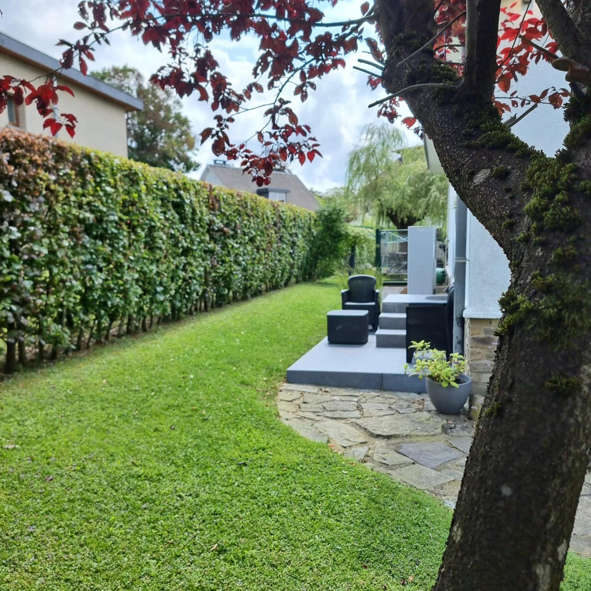 Le Spalace photo 9