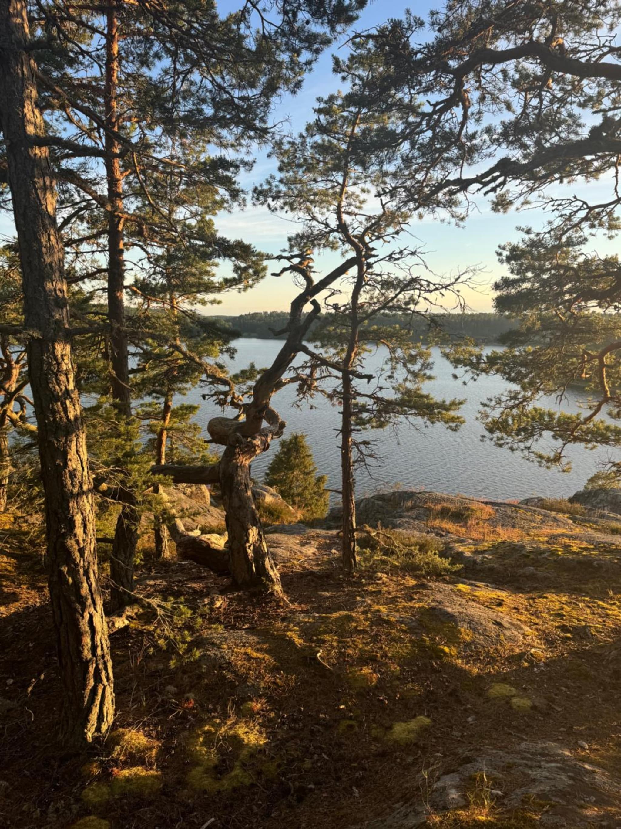 Sjönära pärla photo 3