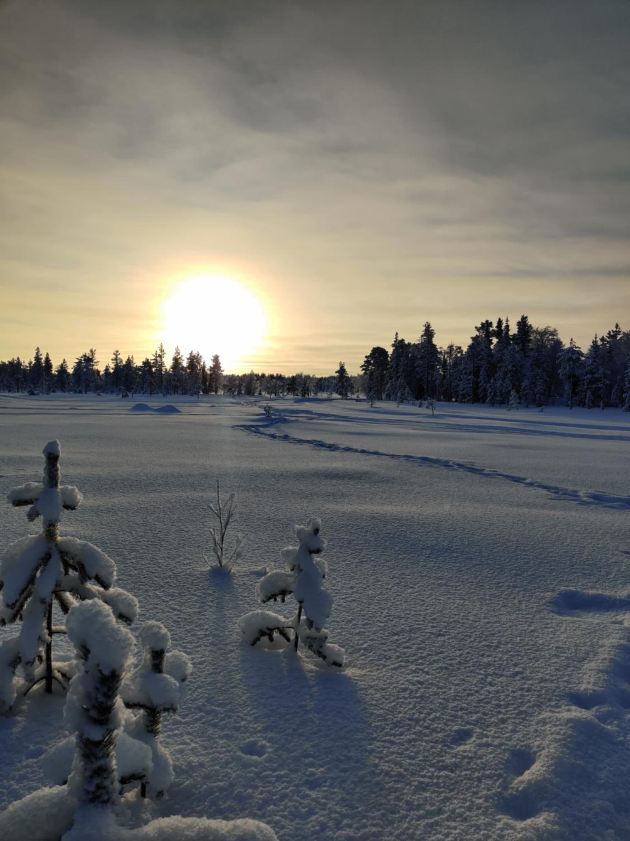 Vähäreinari, mökki Ylläksellä photo 7