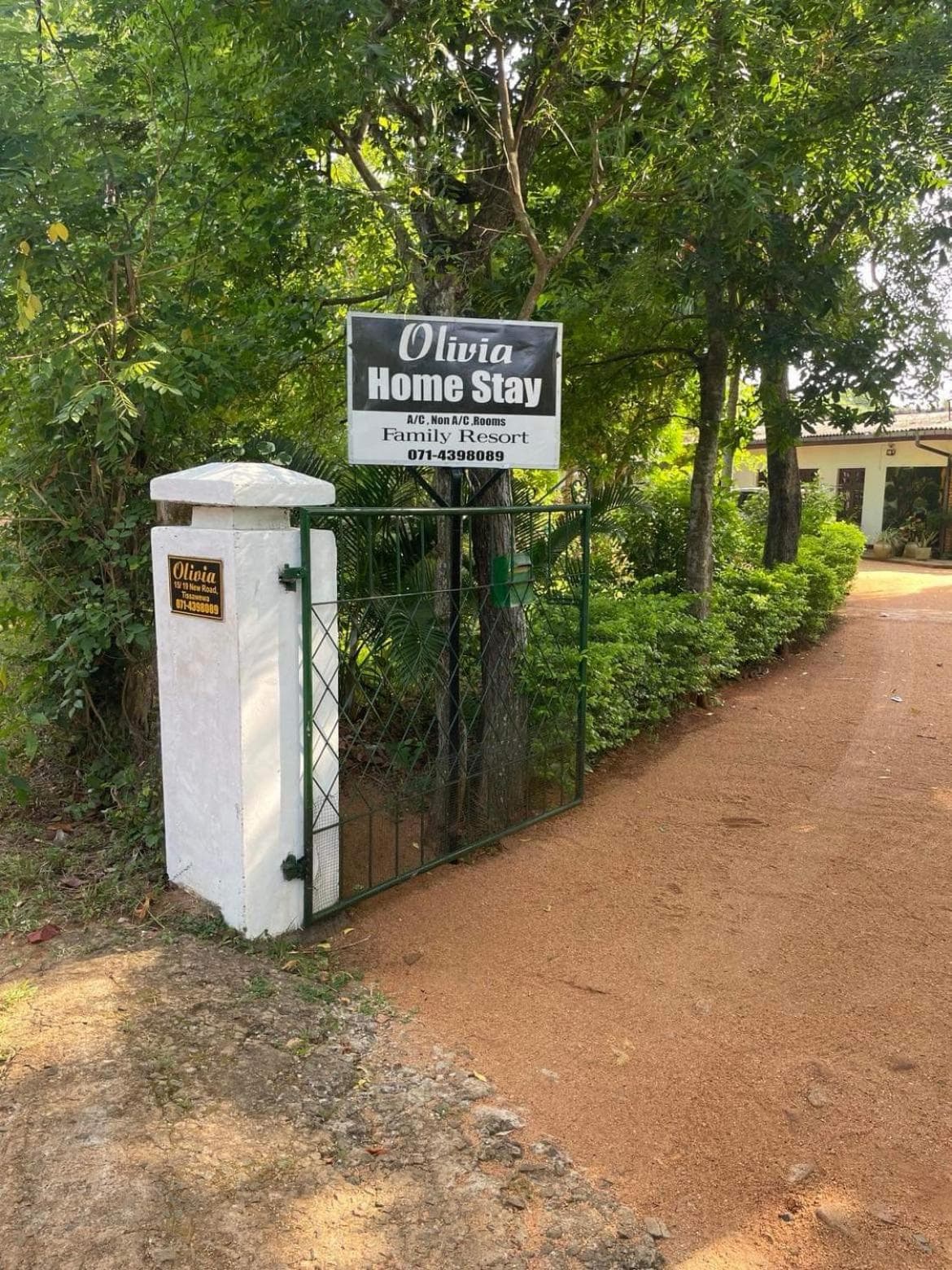 Olivia HomeStay
