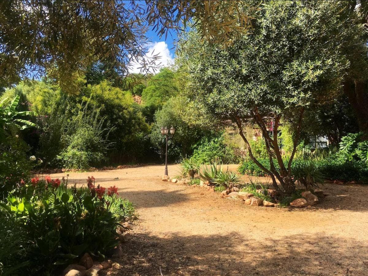 Aloe Guesthouse Klerksdorp photo 7