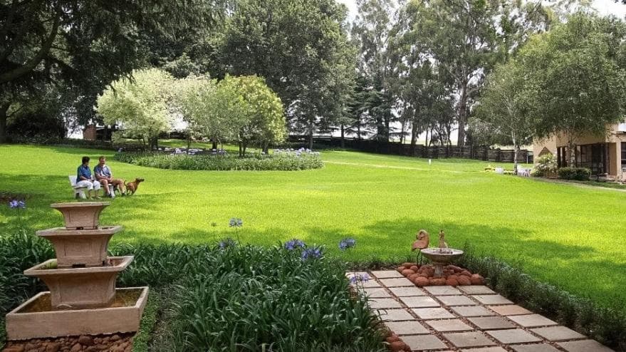 Drinkwater Guest Farm photo 4
