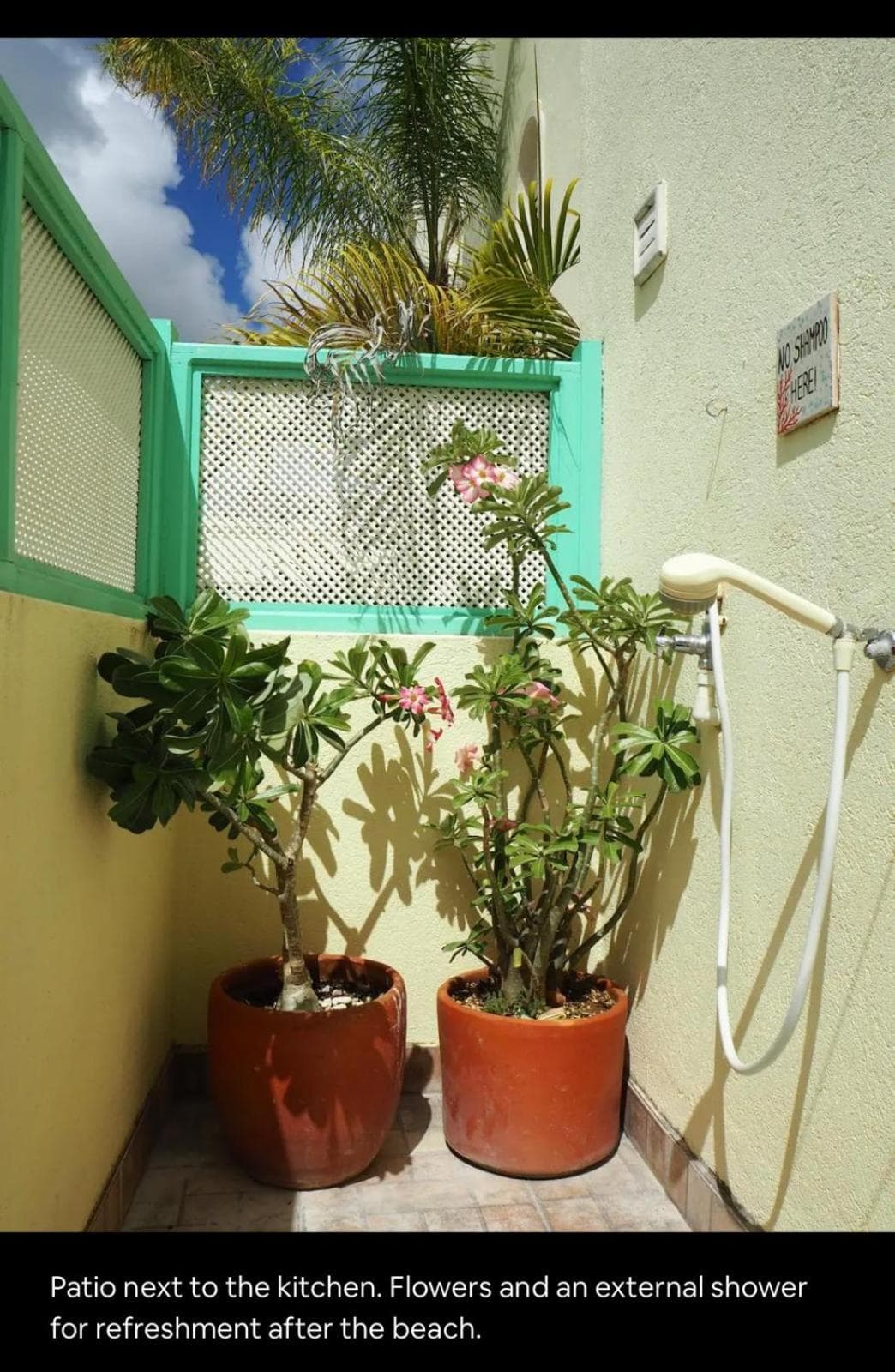 Turtles Hideaway photo 5