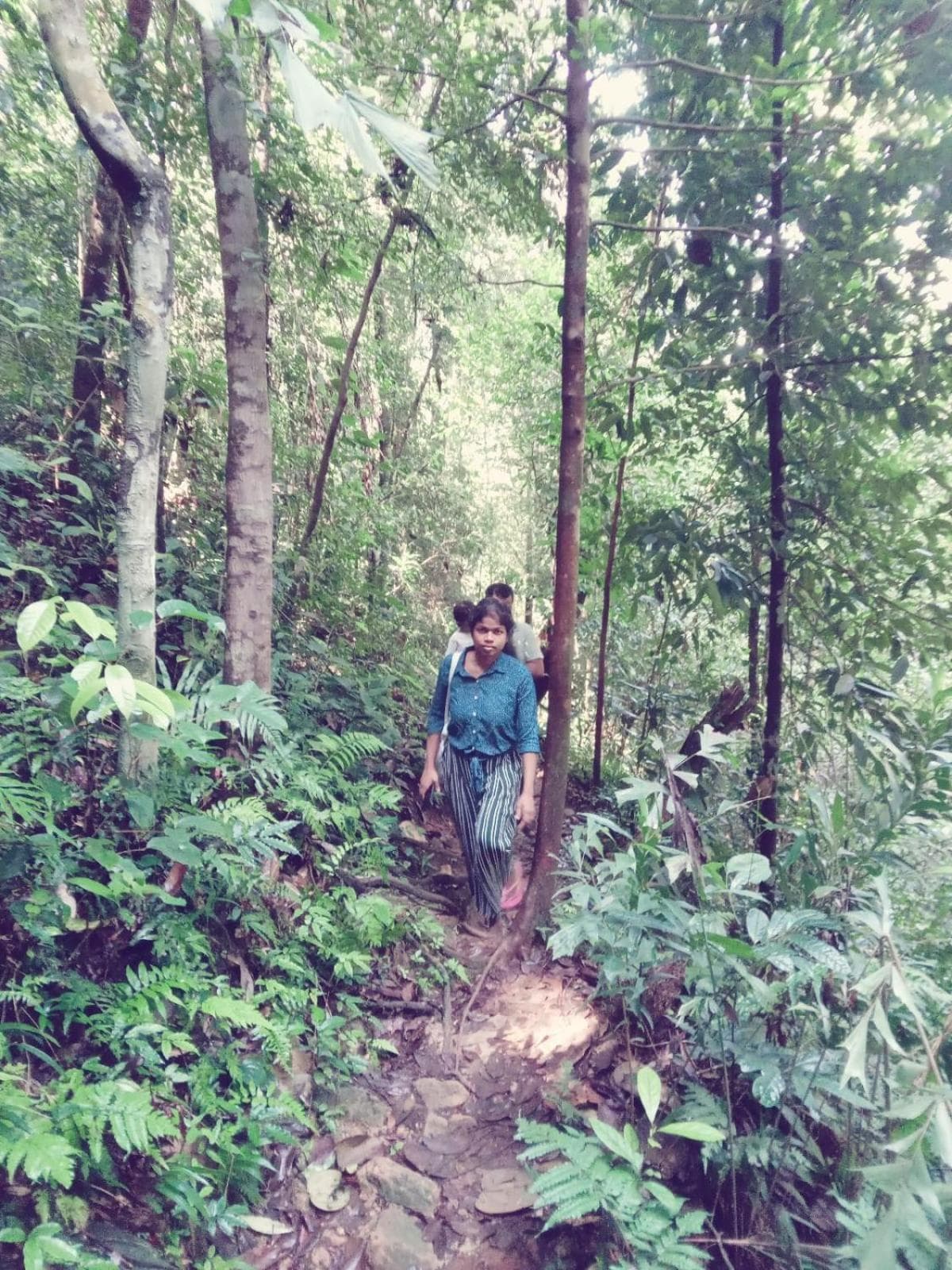 Woodland Hideaway in Sinharaja photo 7