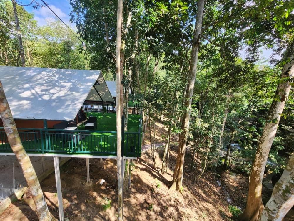 SkyTree Glamping - Huda's Haven photo 3