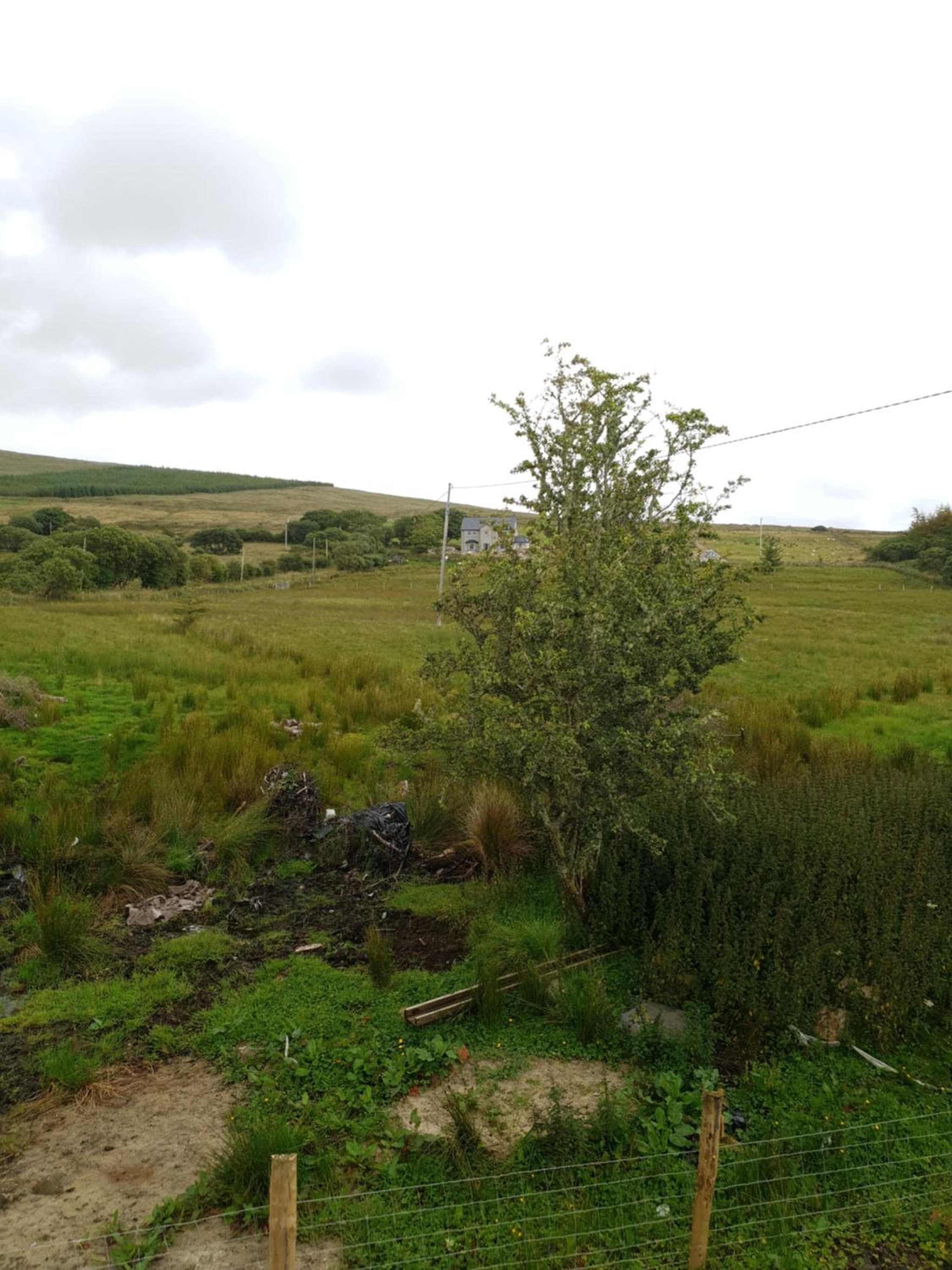The Gamekeeper's Lodge photo 6