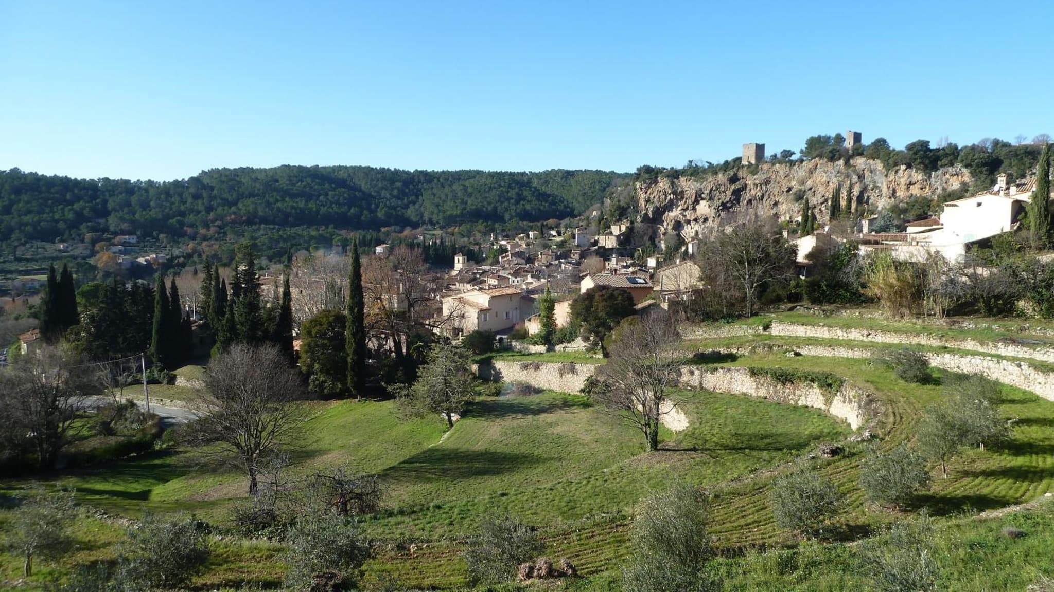 Mas de l'Olivette photo 6