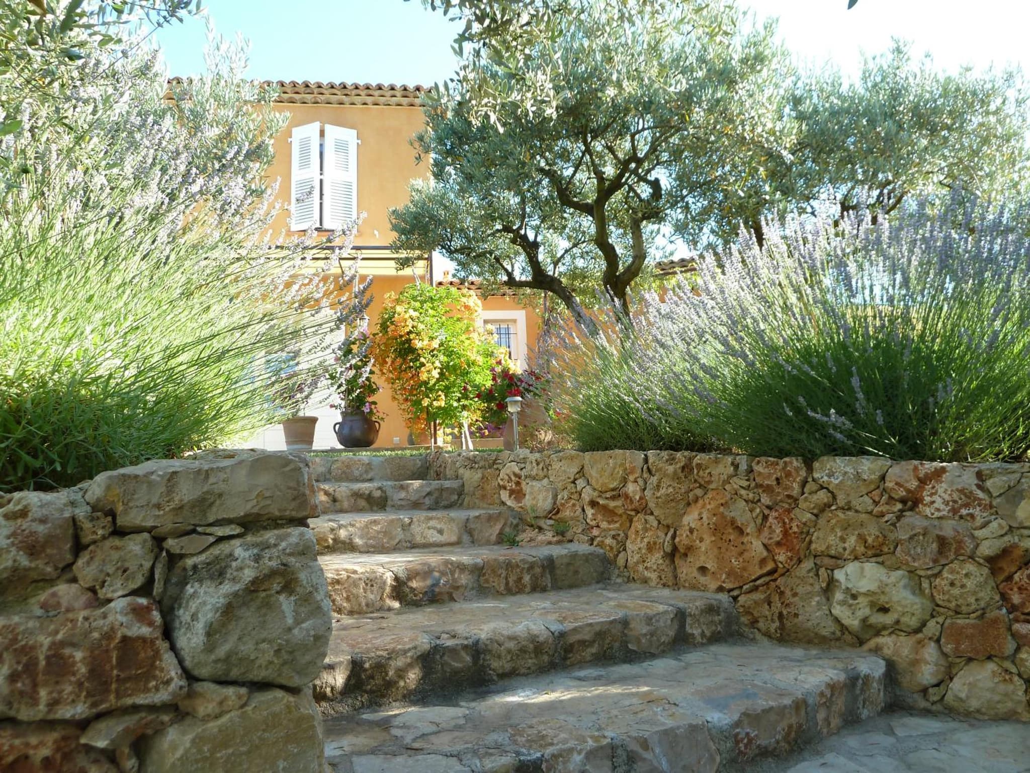Mas de l'Olivette photo 8