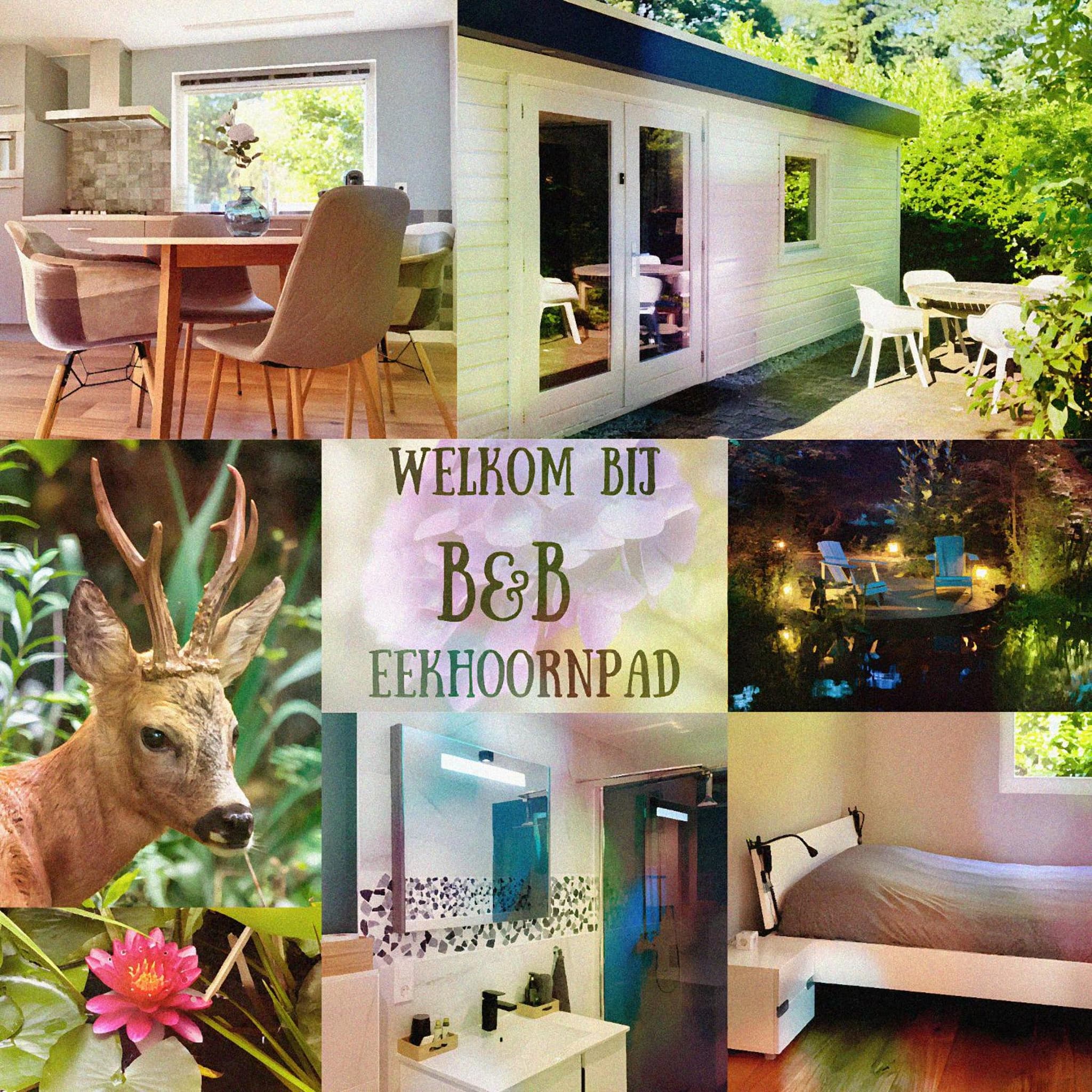 B&B Eekhoornpad