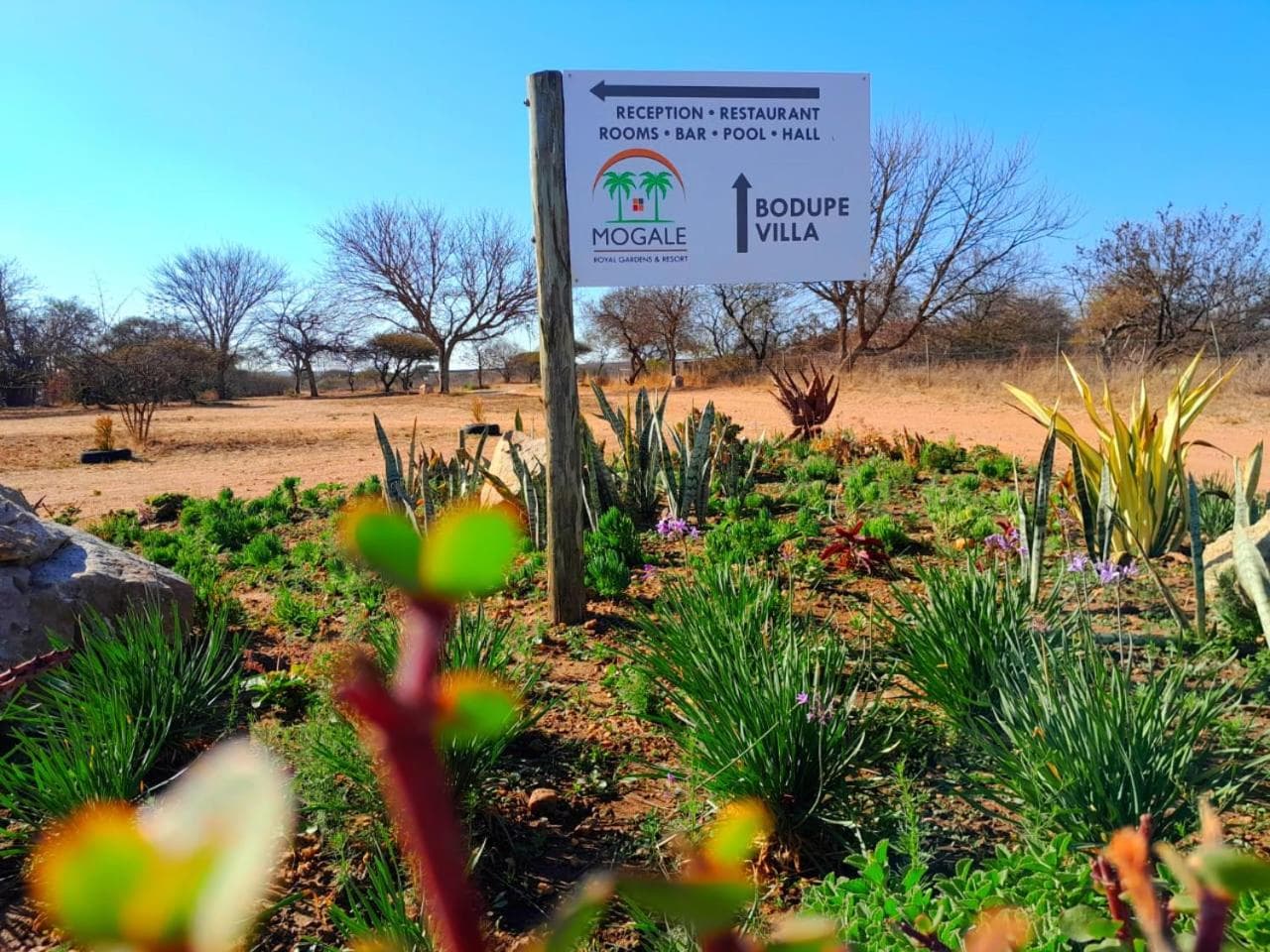 Mogale Royal Gardens photo 7