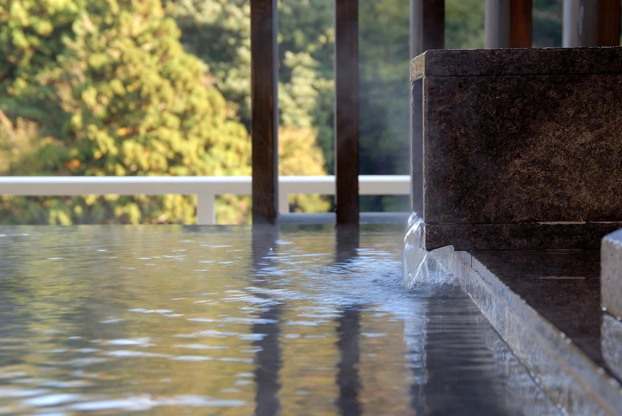 Hakone Suimeisou photo 9