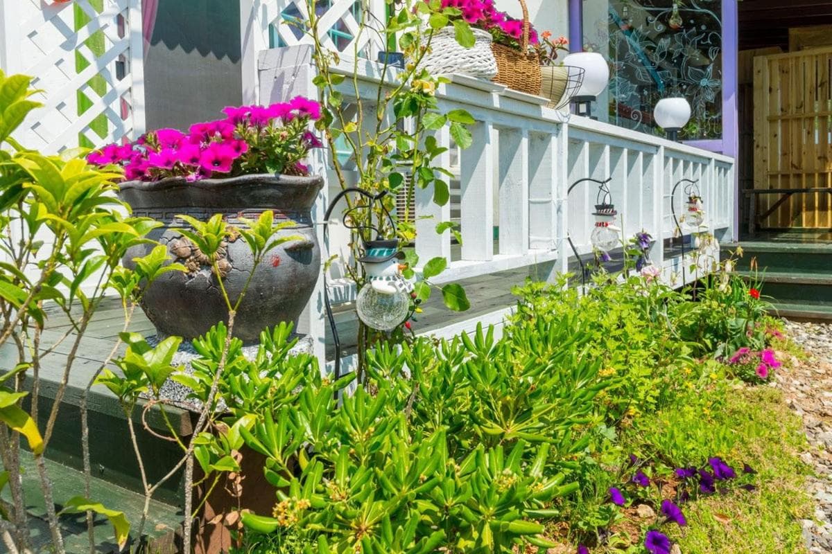 Goseong Hatsal Gadeuk Pension photo 3