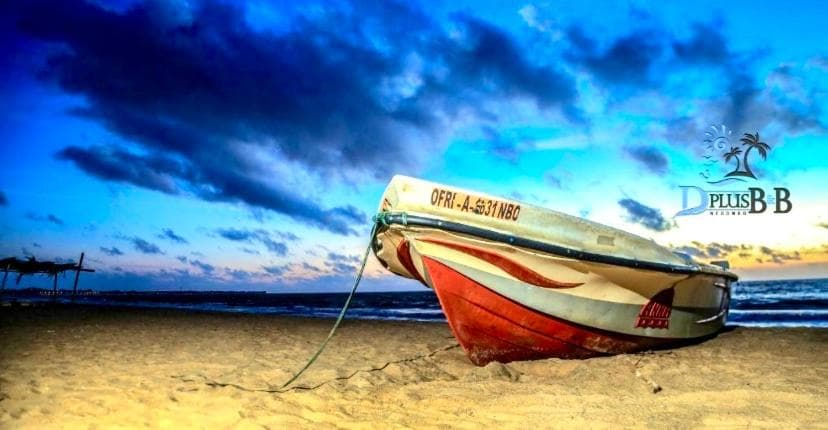 D Plus Resort Negombo photo 3