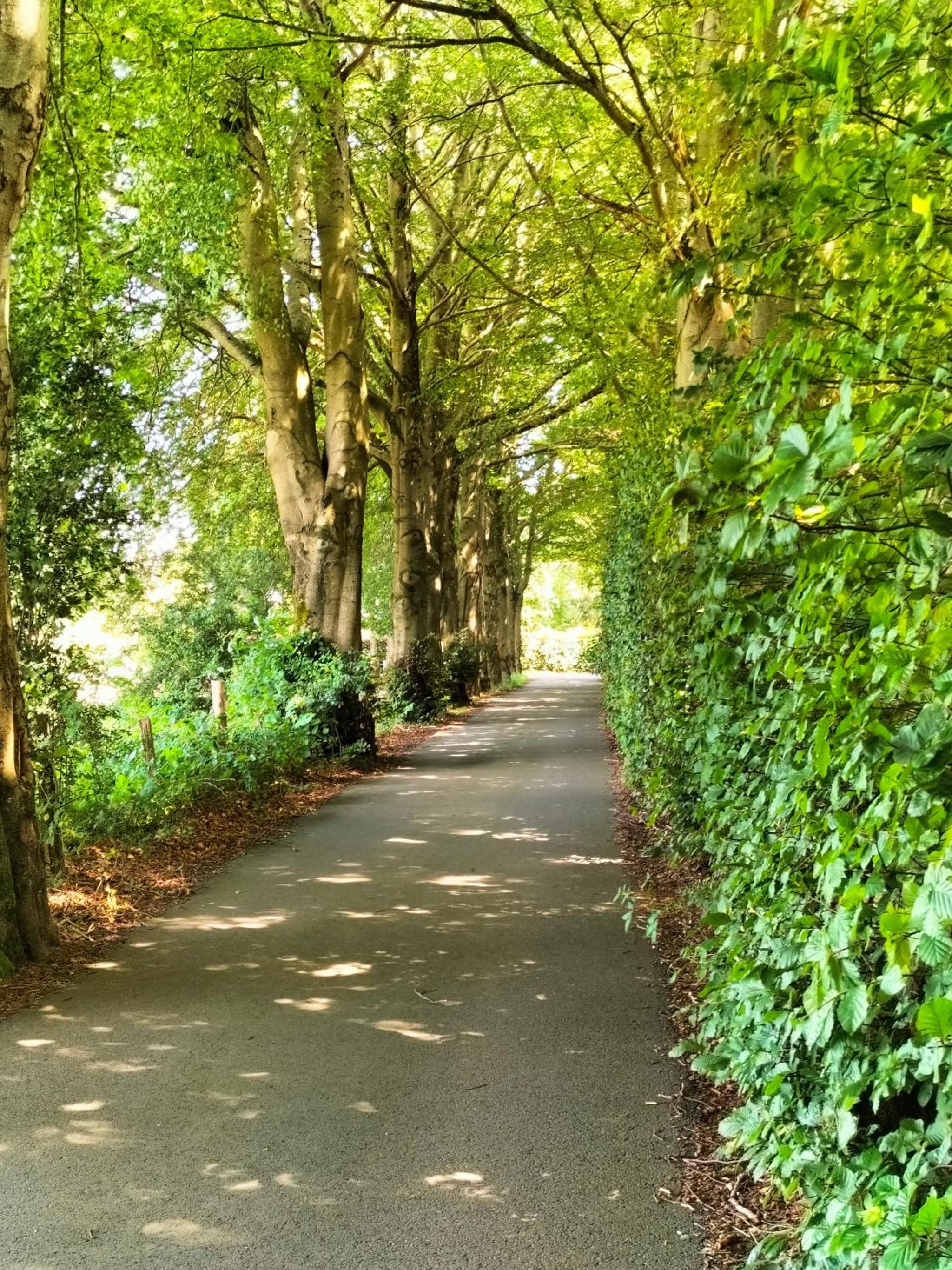 Les Adrets de Malmedy photo 2