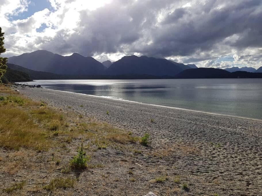 Manapouri Beech photo 9