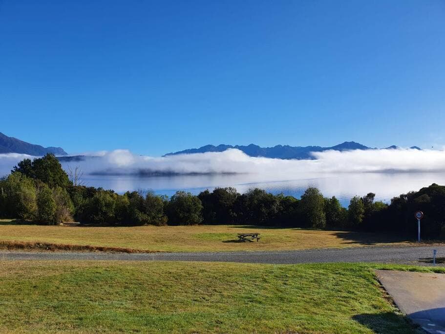 Manapouri Beech photo 8