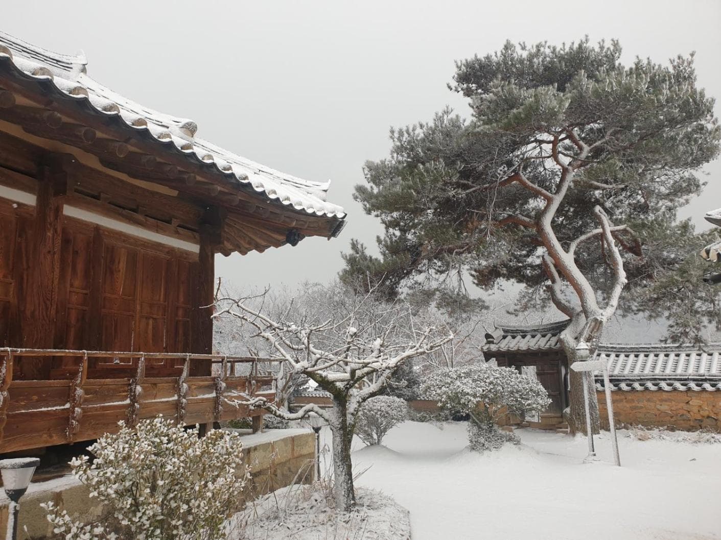 Hahoe Chunghyodang photo 7