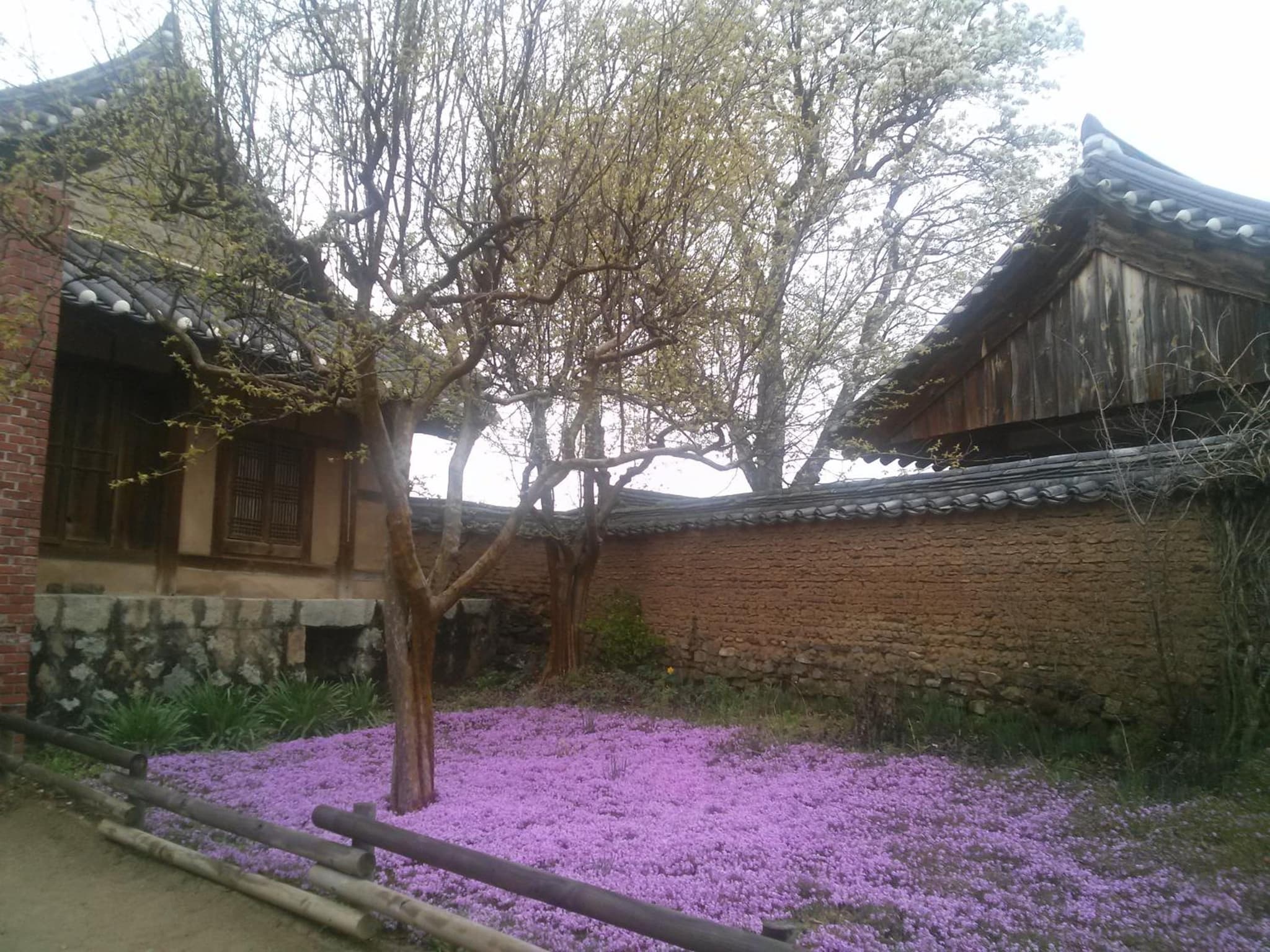 Hahoe Chunghyodang photo 6