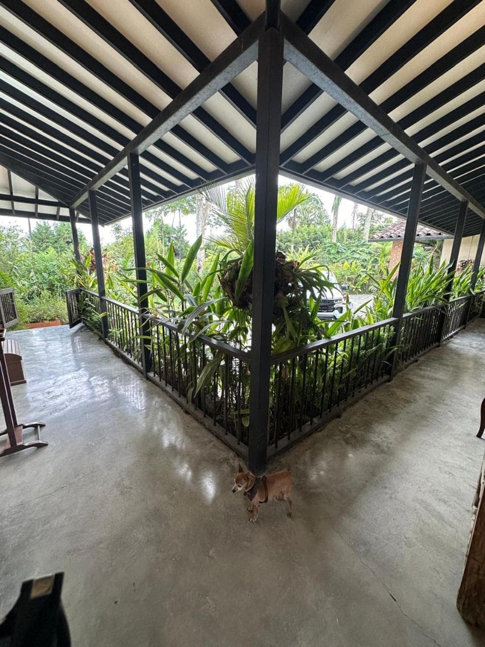 Tukki Ecolodge Hotel photo 3