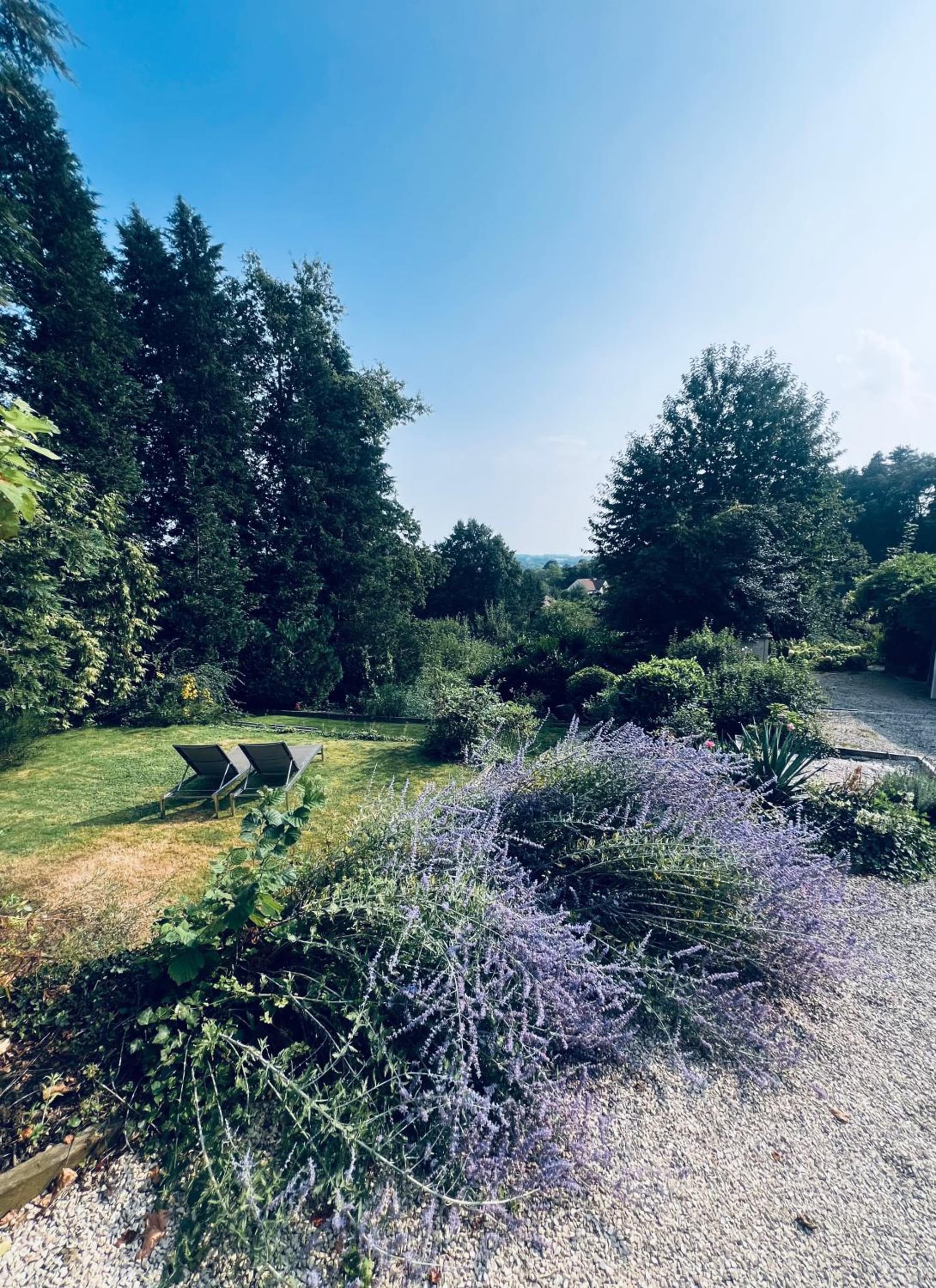 Bois de Hal photo 5
