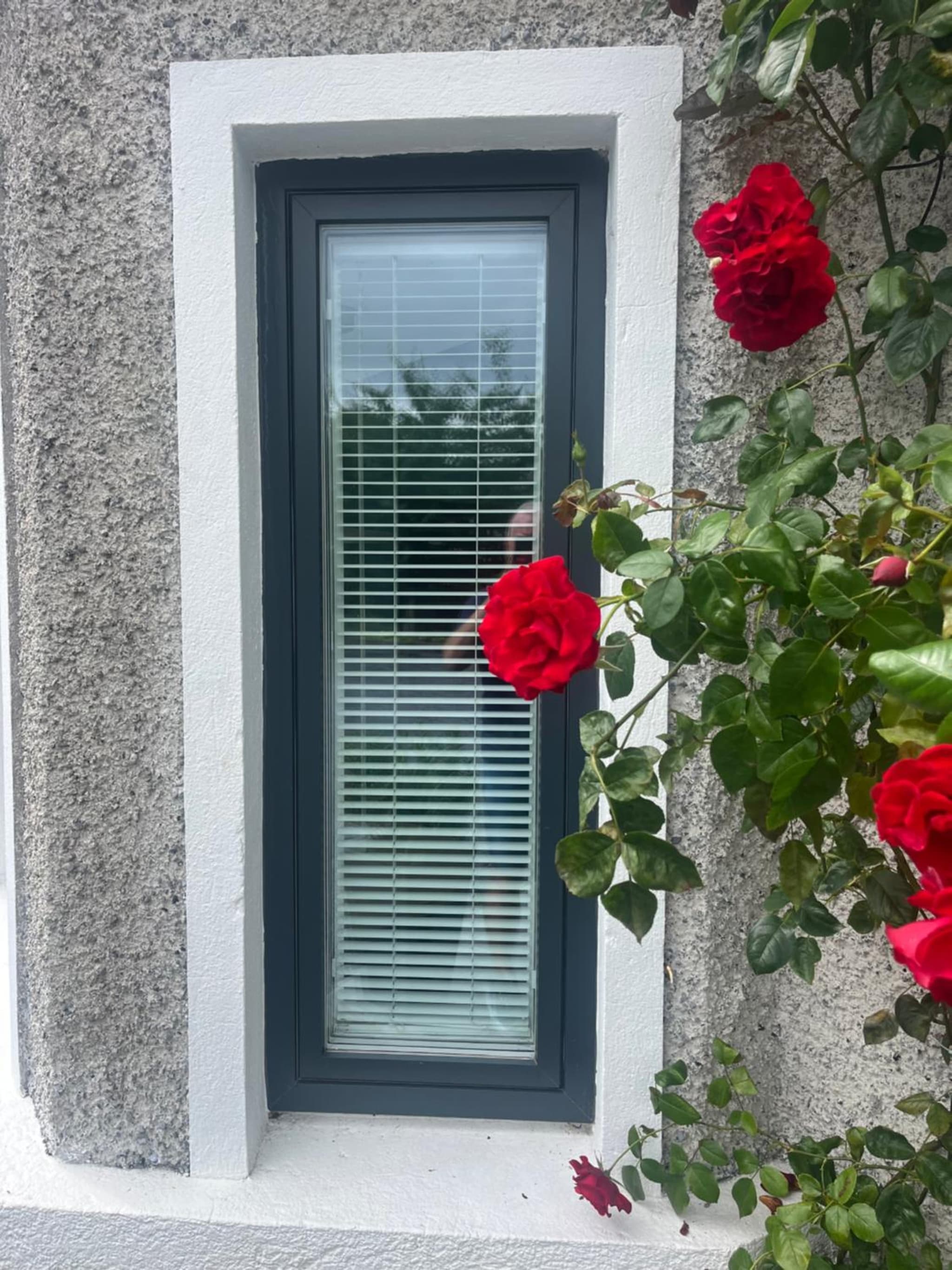 Lavally House photo 5