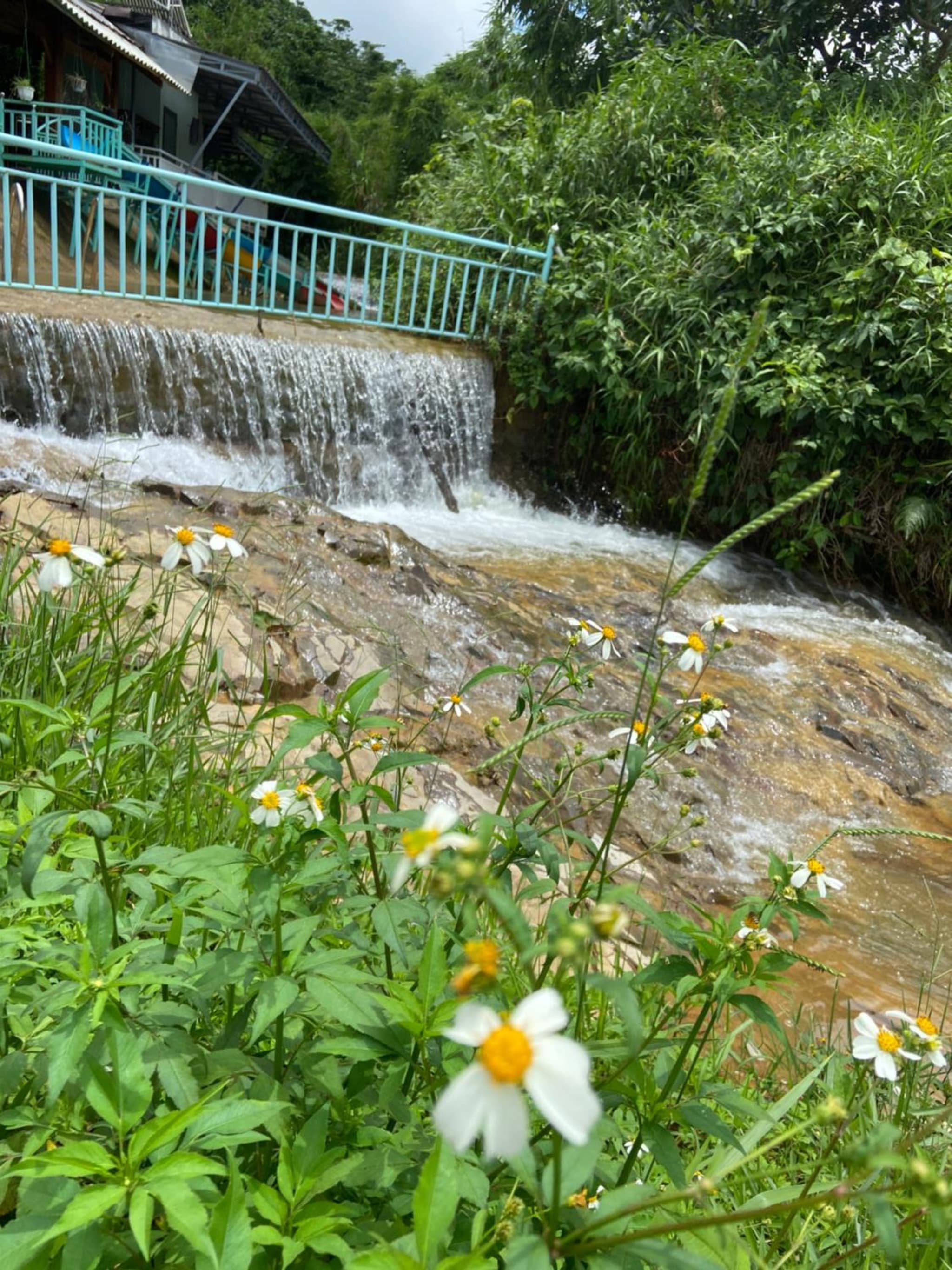 Gạo hạt dẻ homestay photo 7