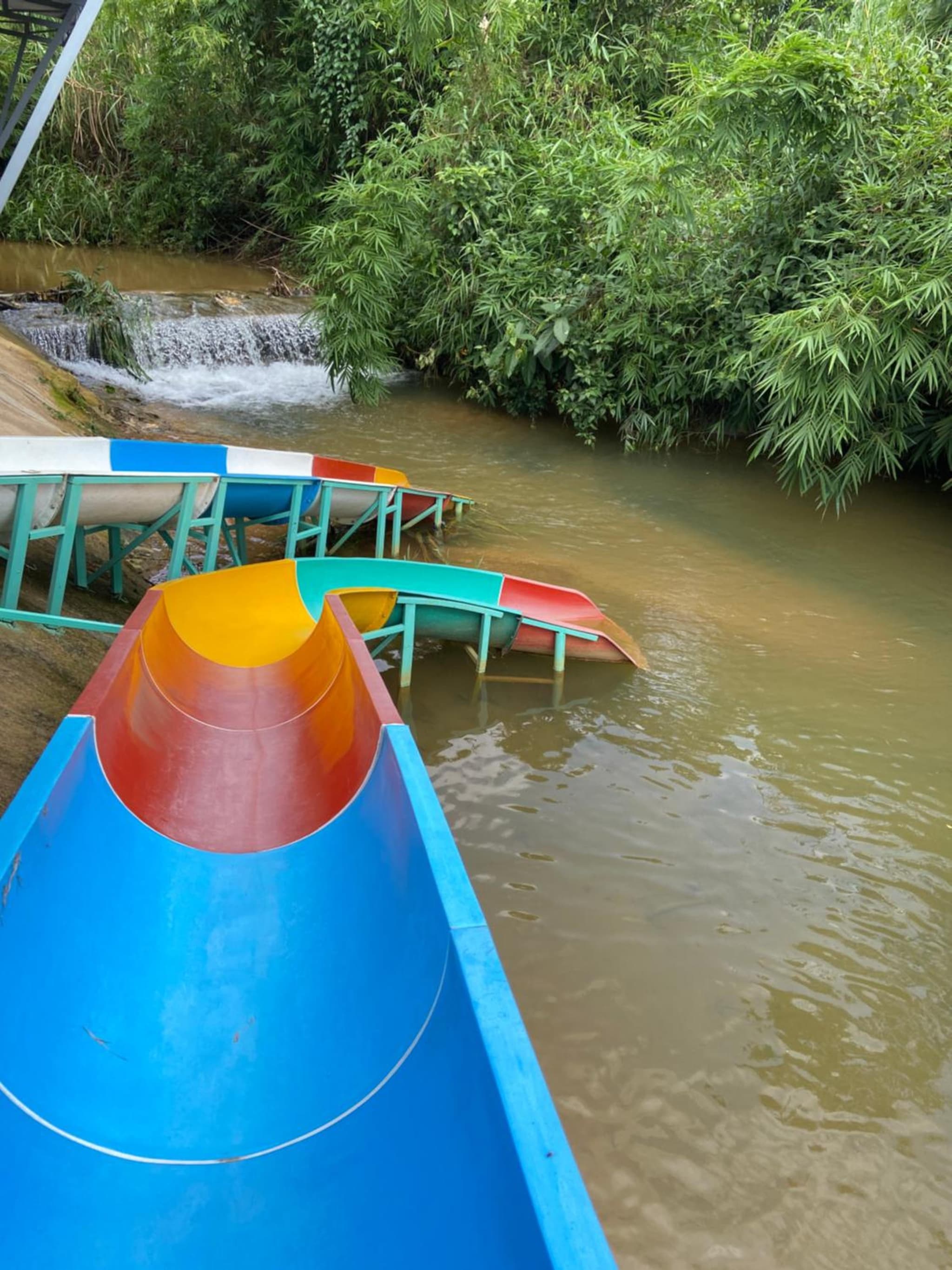 Gạo hạt dẻ homestay photo 2