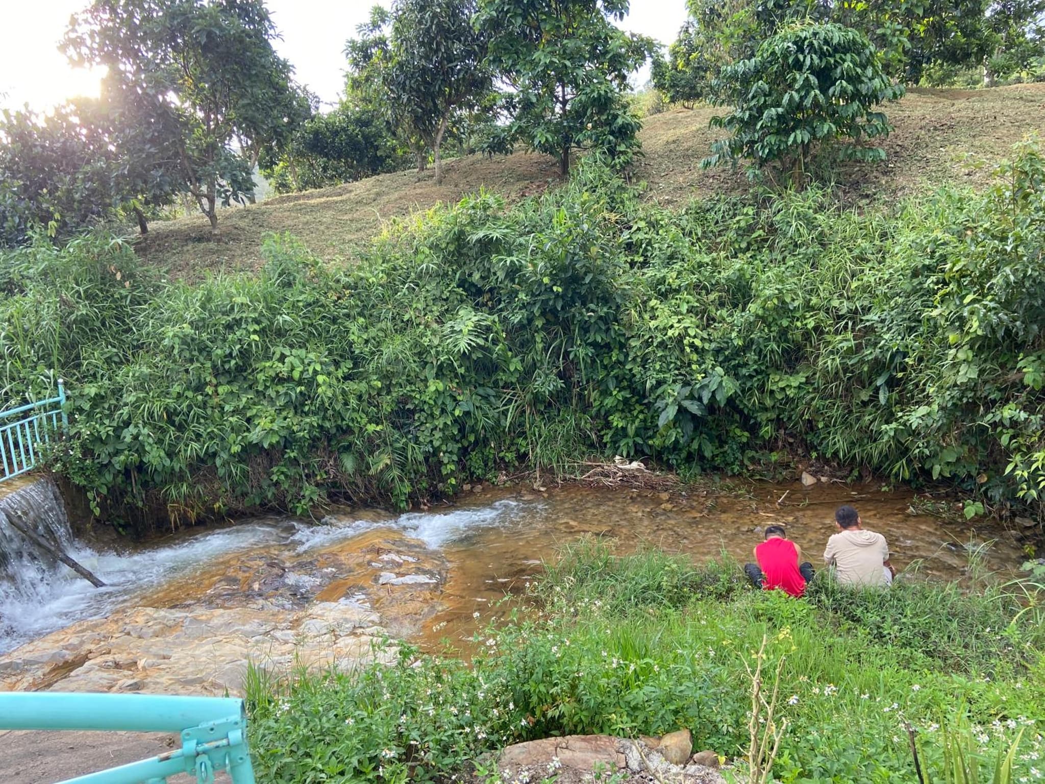 Gạo hạt dẻ homestay photo 8