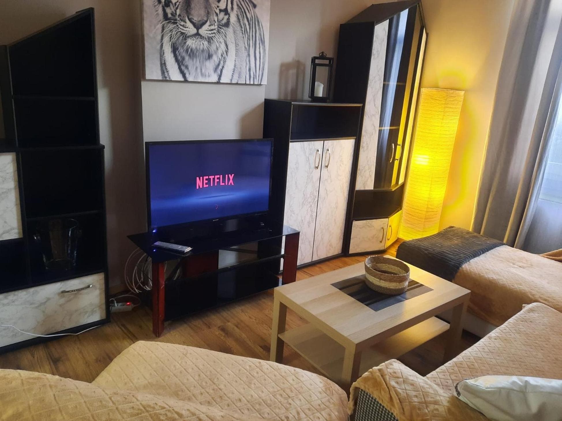 Sunny Days Cozy and Comfortable Apartment photo 9
