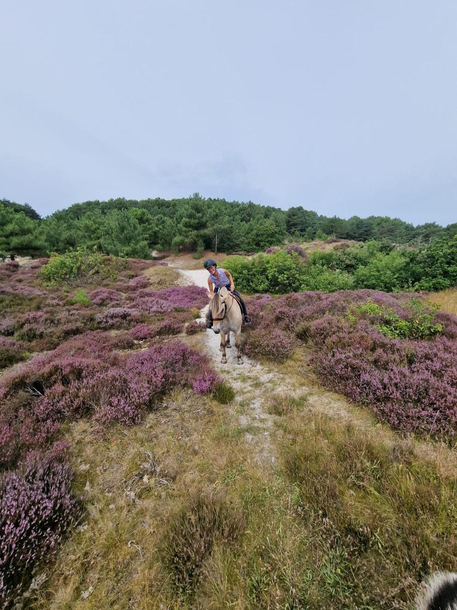 Hart van Petten photo 4
