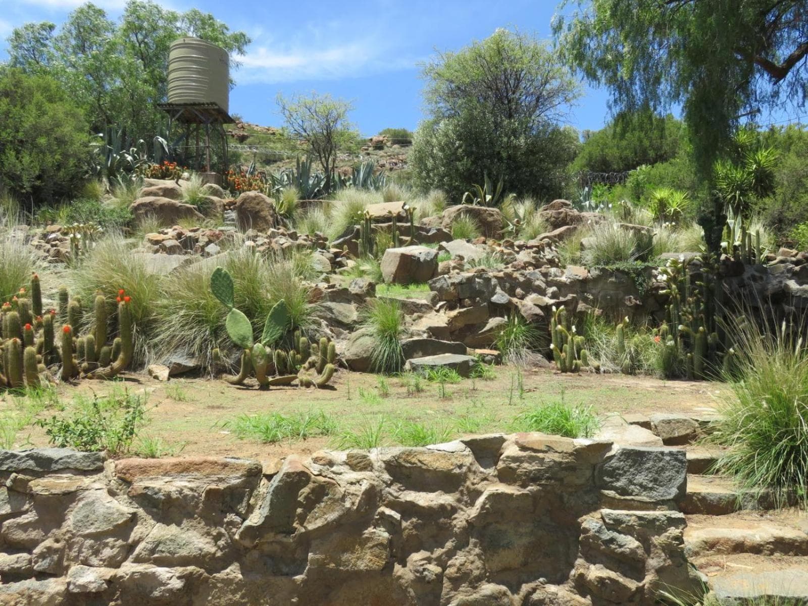 Cobblestone Court photo 4