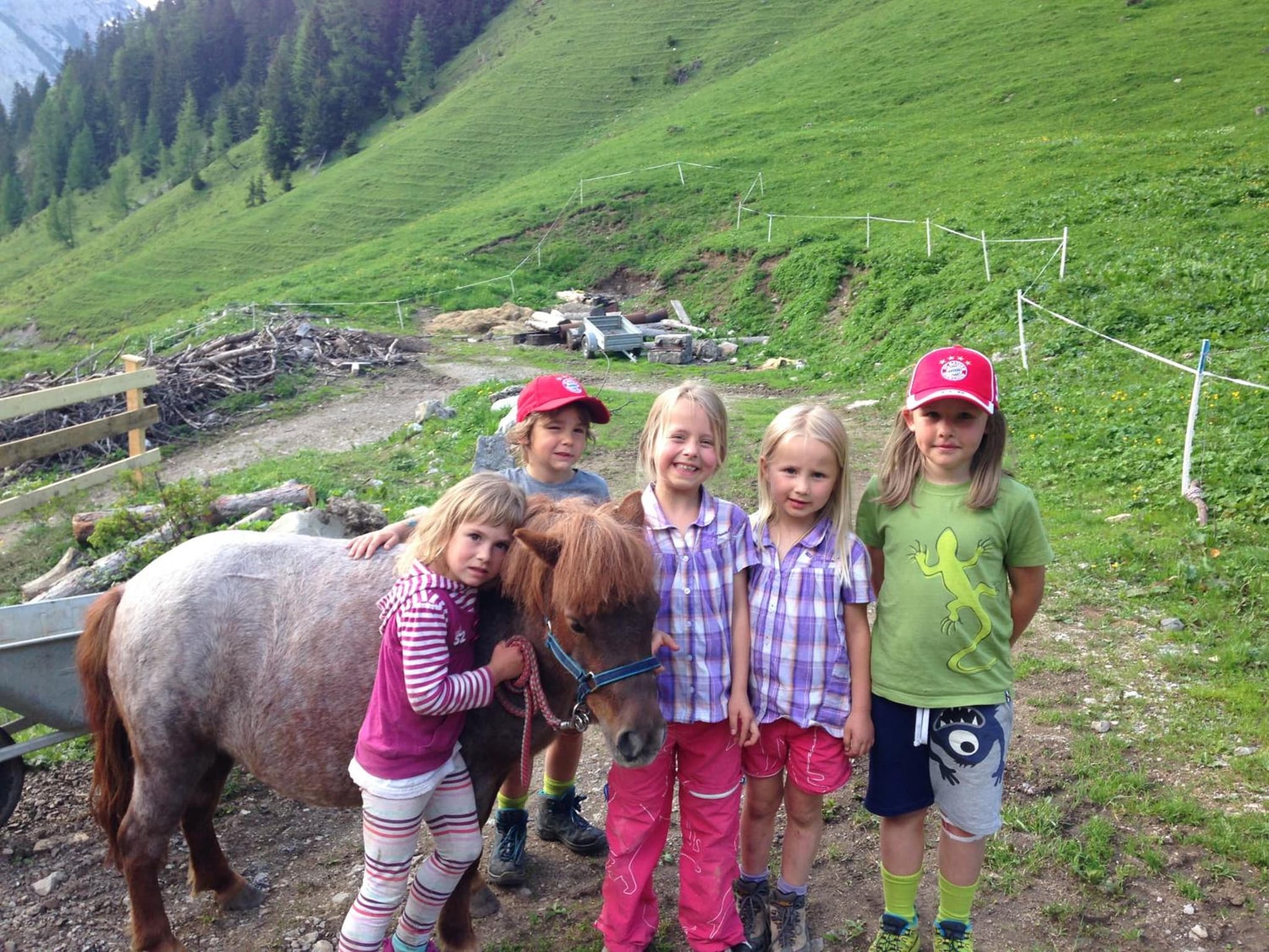 Binsalm- Schutzhütte photo 6
