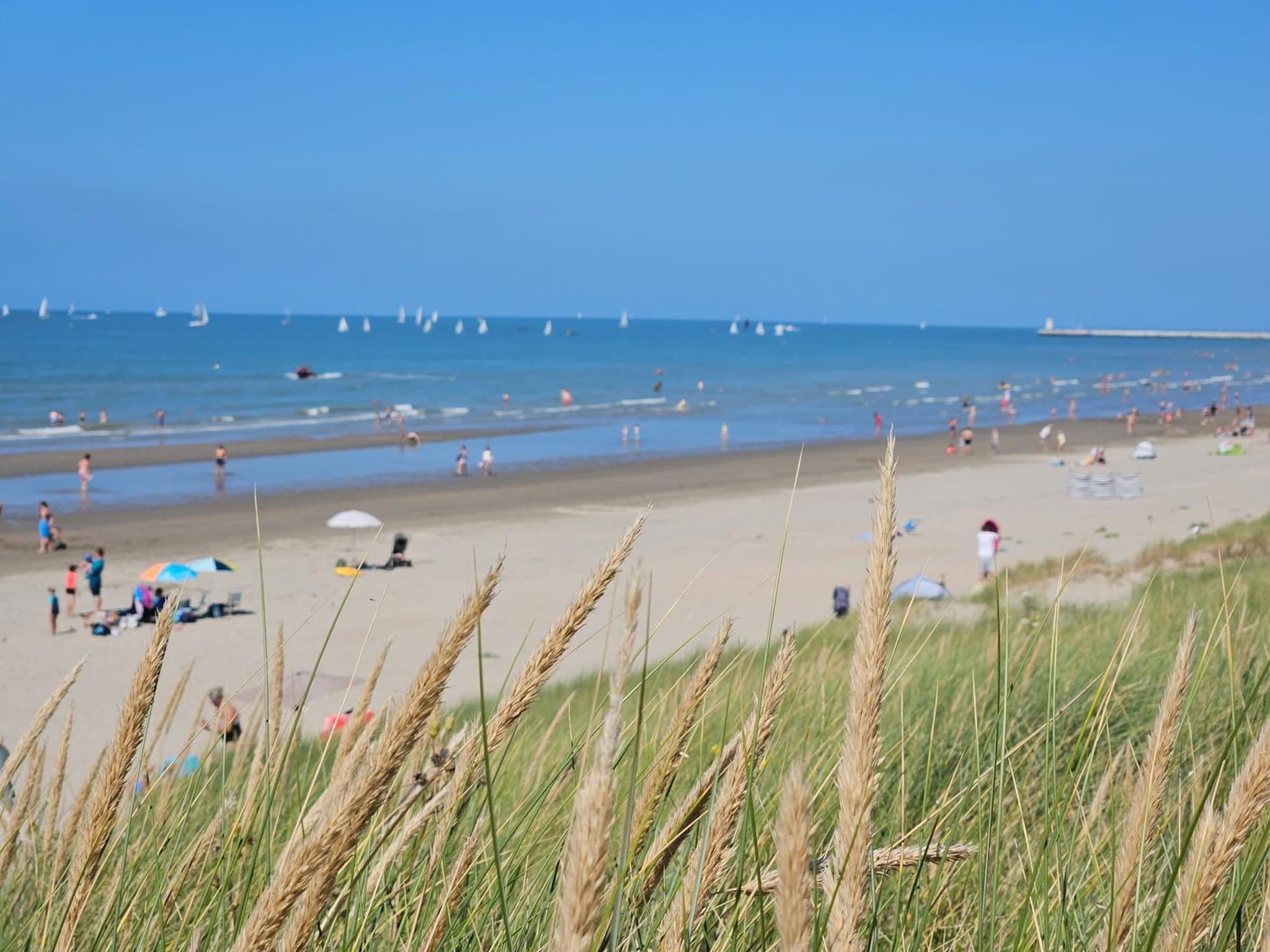 Vakantiewoning Maison Mathiz photo 5