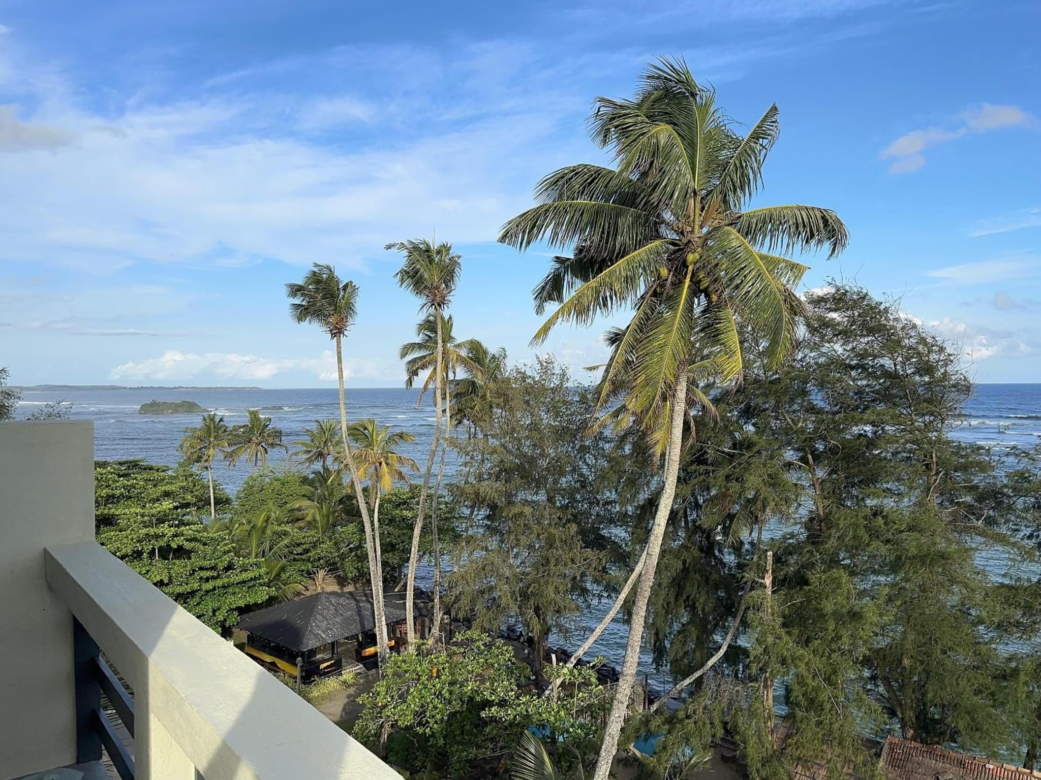 Cocos Polhena photo 9