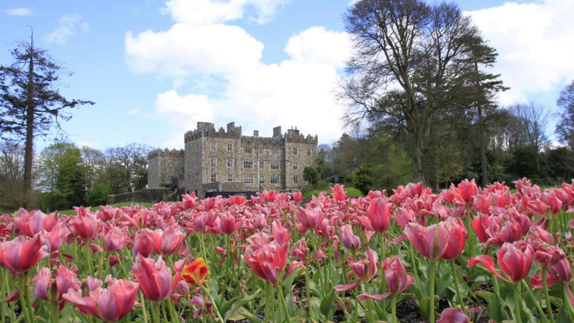 Waterford Castle Hotel Lodges photo 2