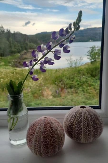 Hus ved sjøen 4 soverom 10 gjester photo 4