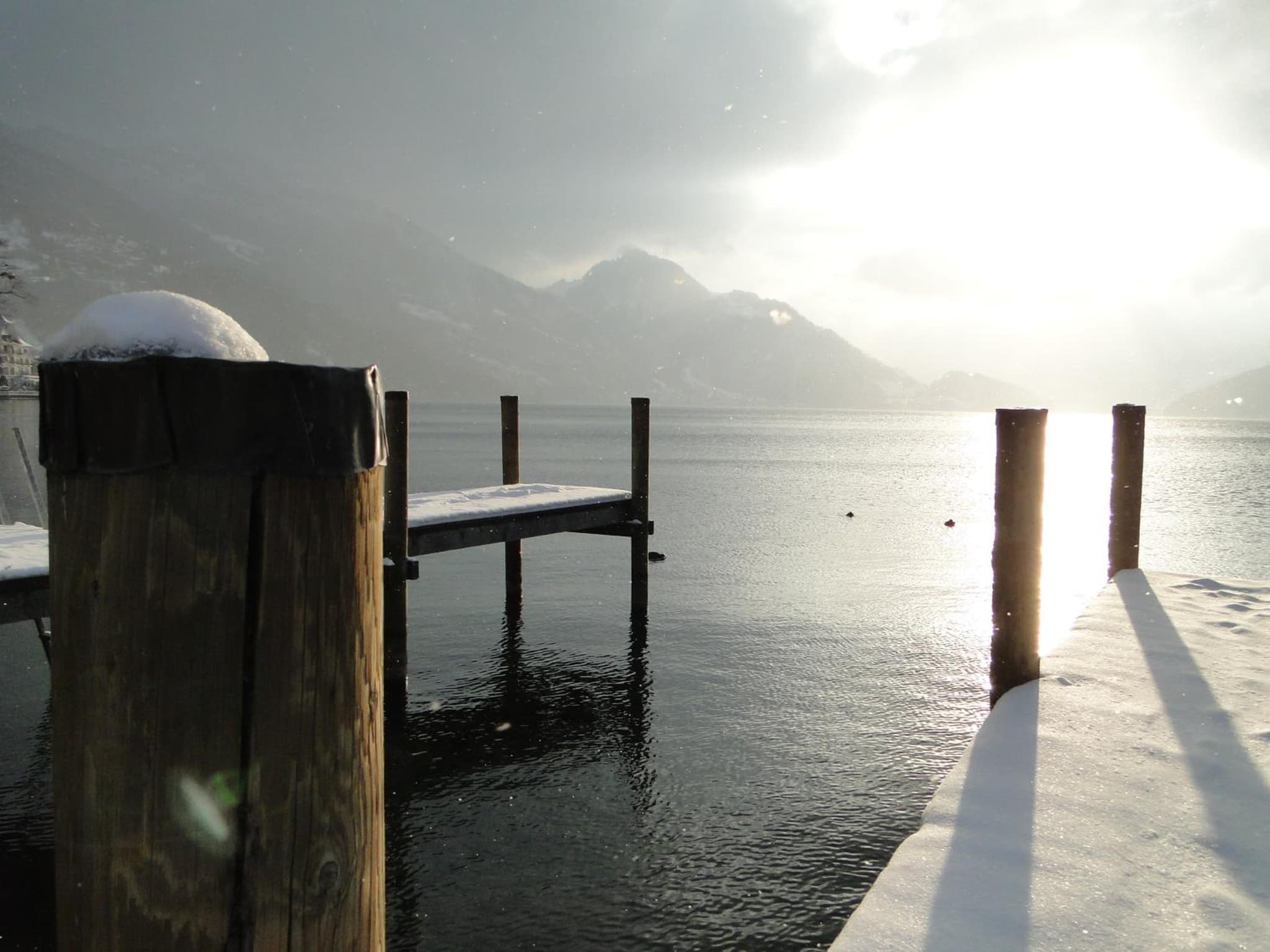 Seehotel Gotthard photo 3
