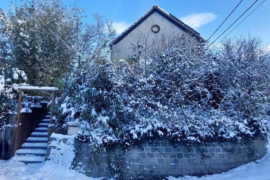 Gîte Le Renard qui passe