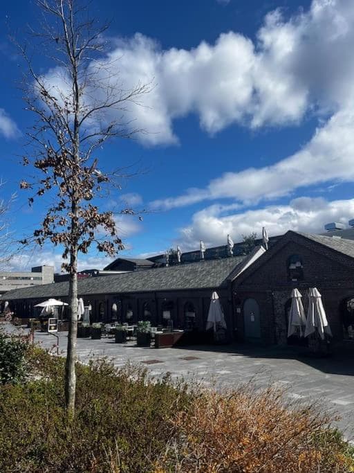 Sentral og moderne leilighet med stor uteplass