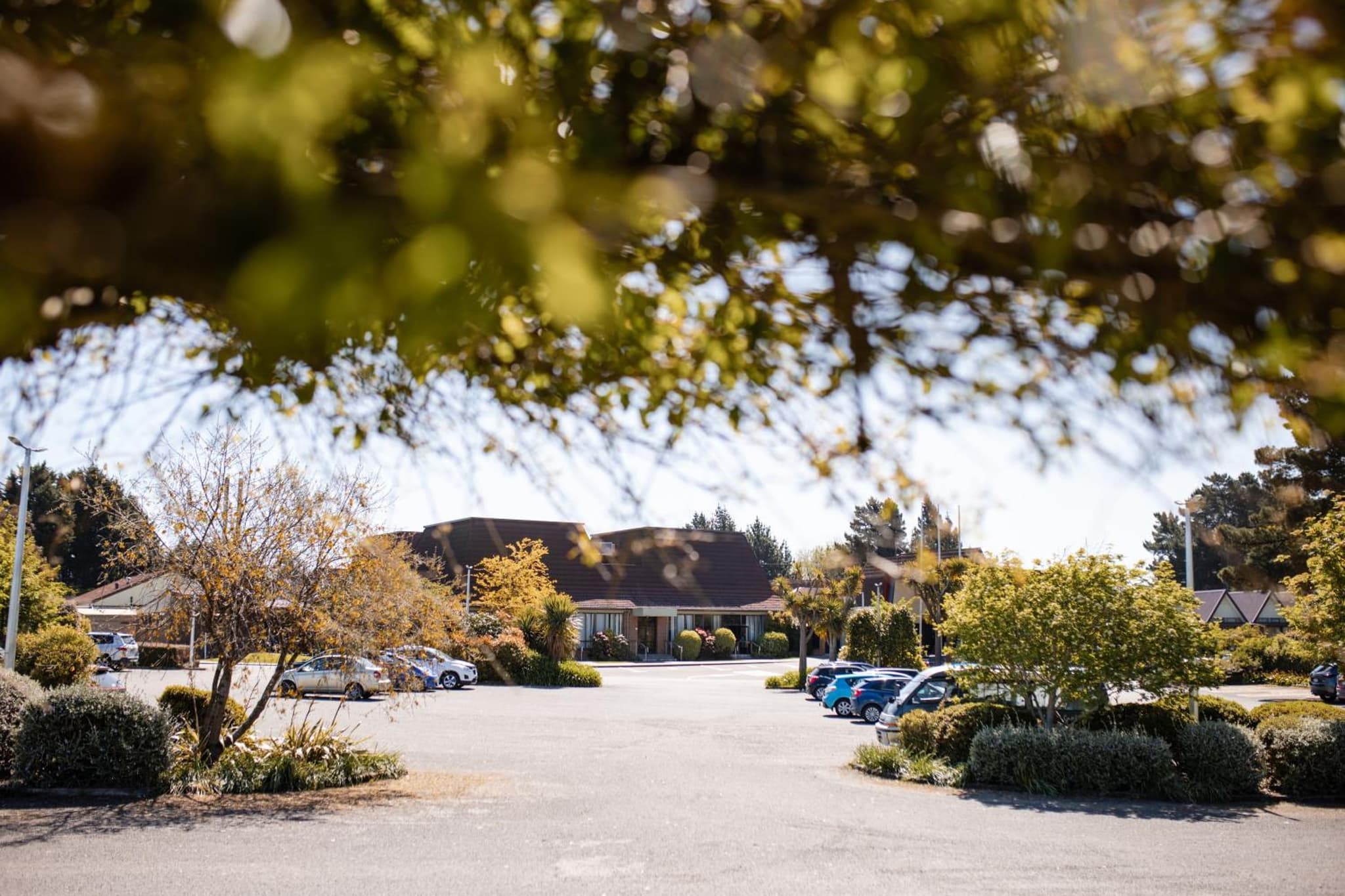 Ascot Park Hotel photo 4