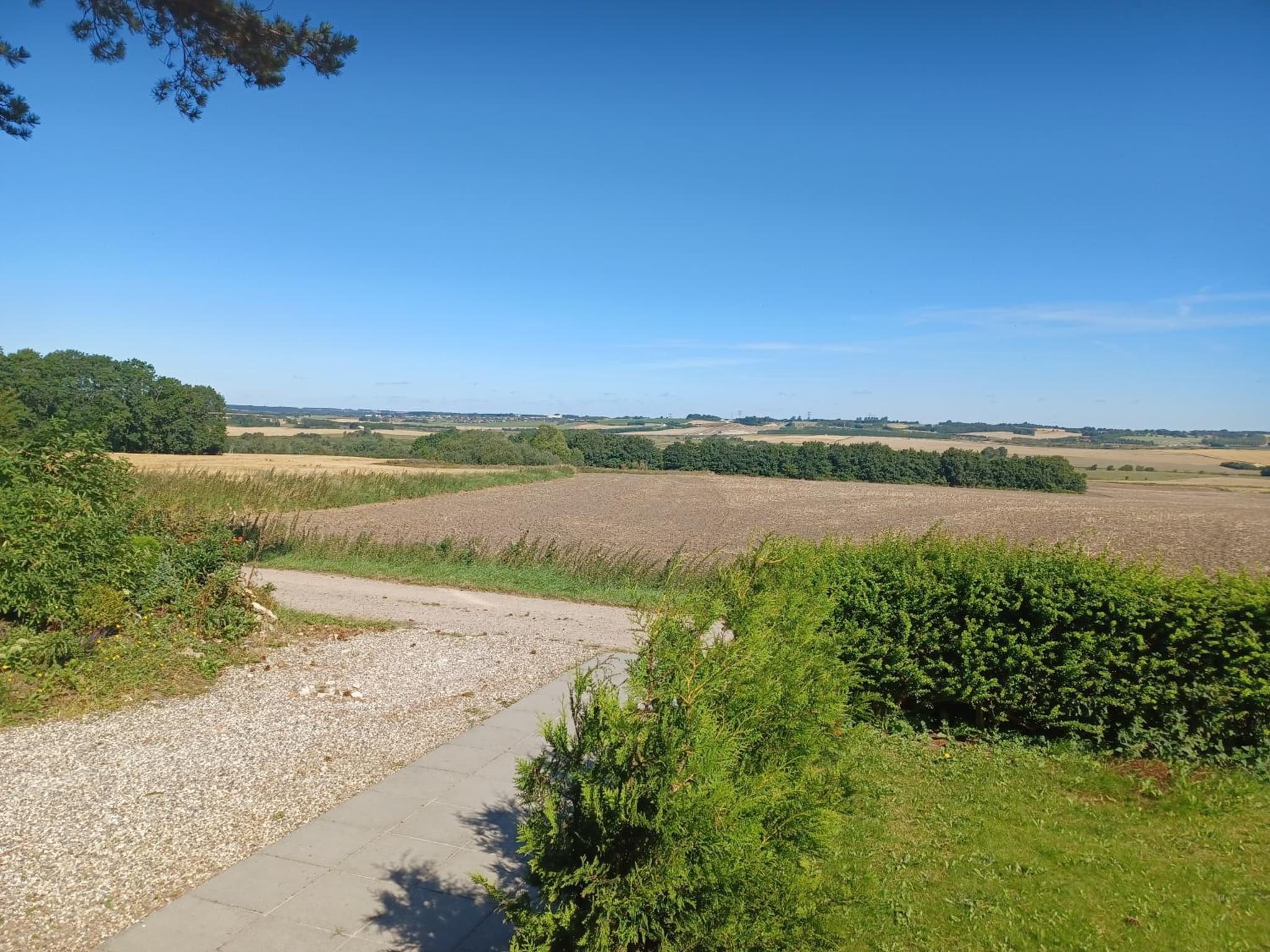 Kasted Hills Aarhus photo 2