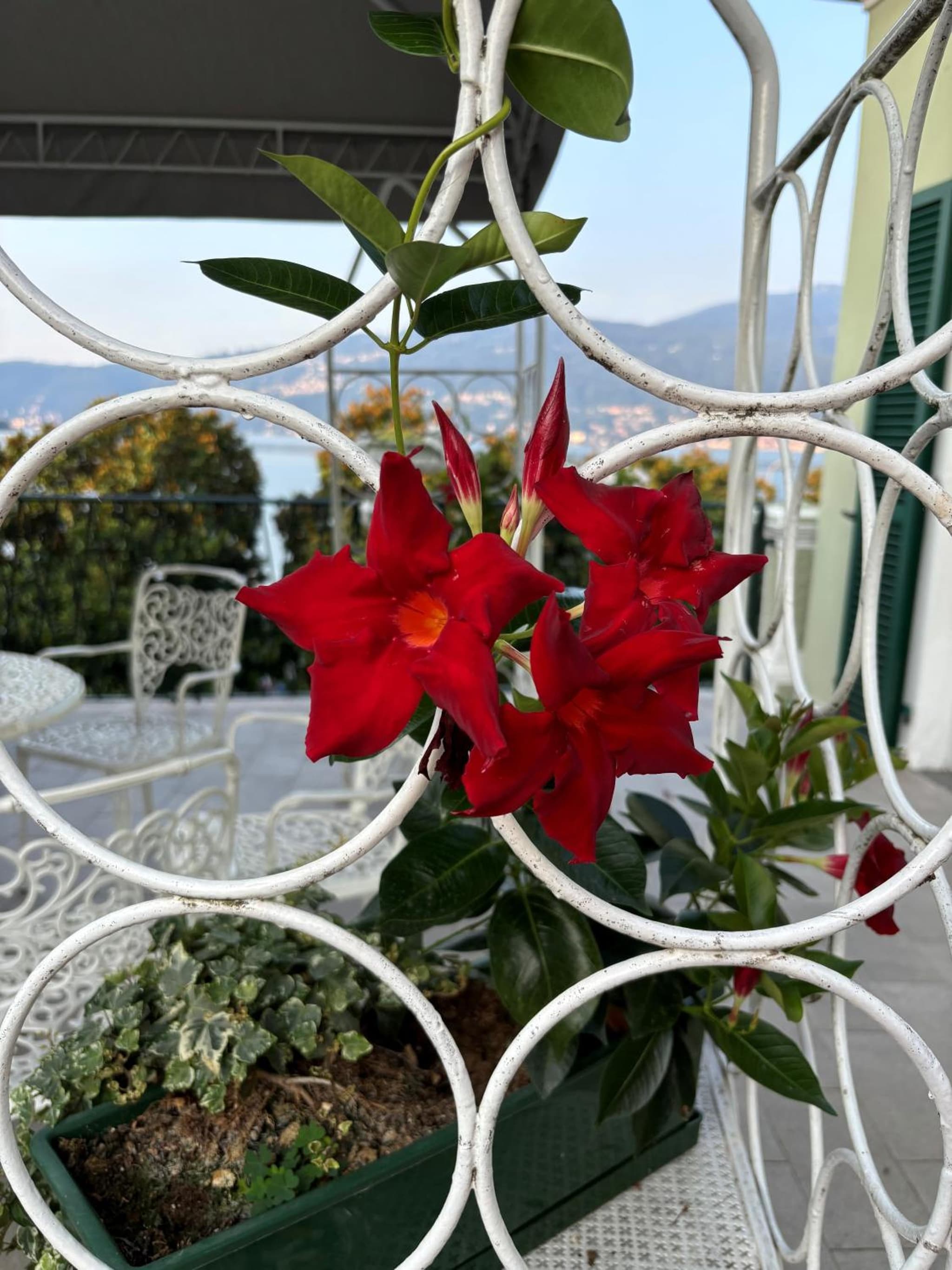 Albergo Pesce D'oro photo 3