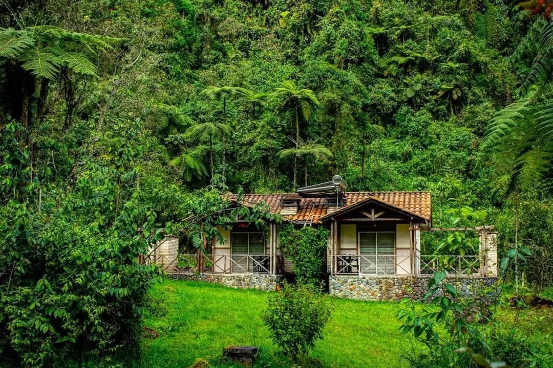 Hotel Termales San Vicente
