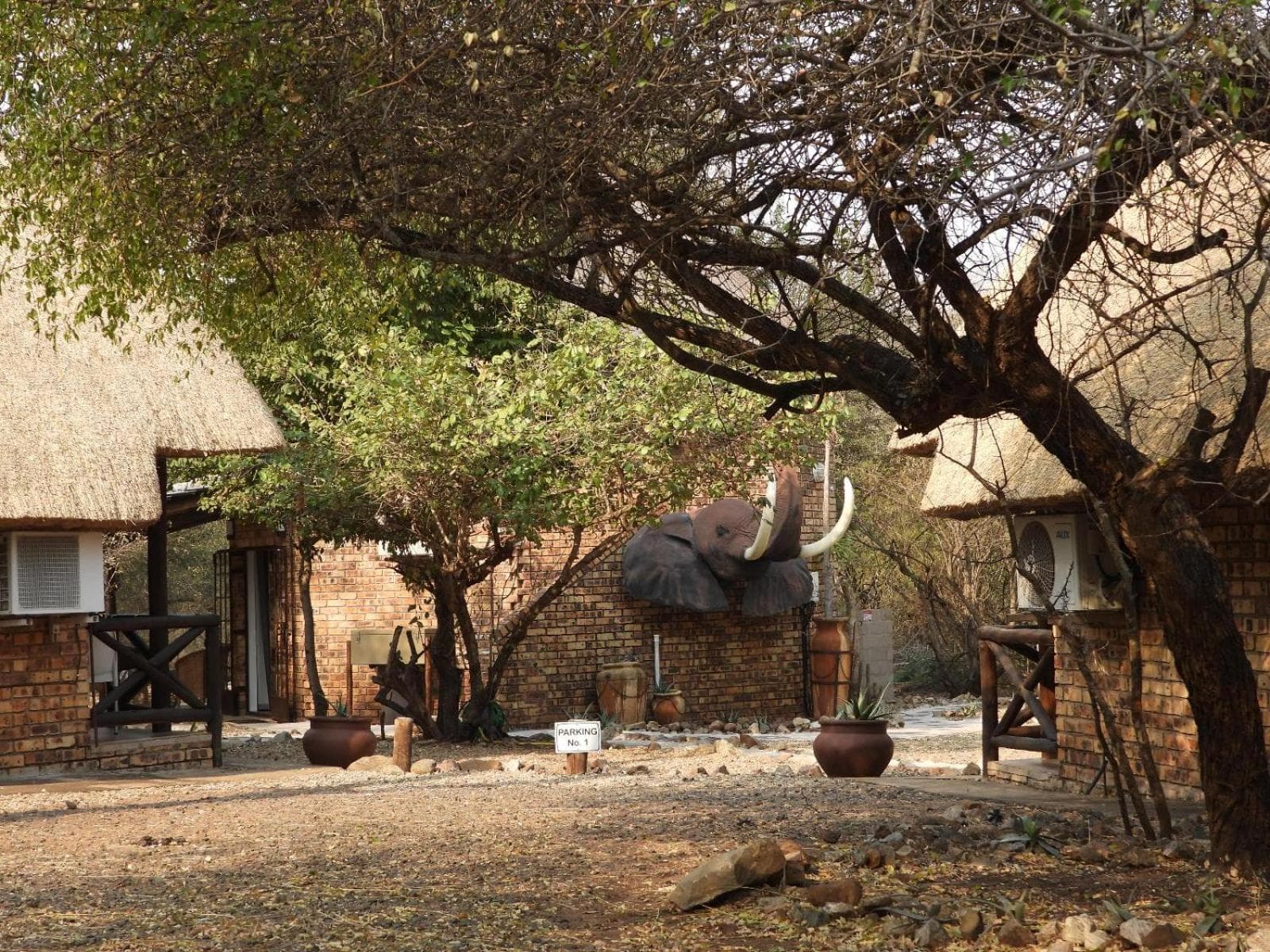 Elephant Memories wildlife lodge photo 2