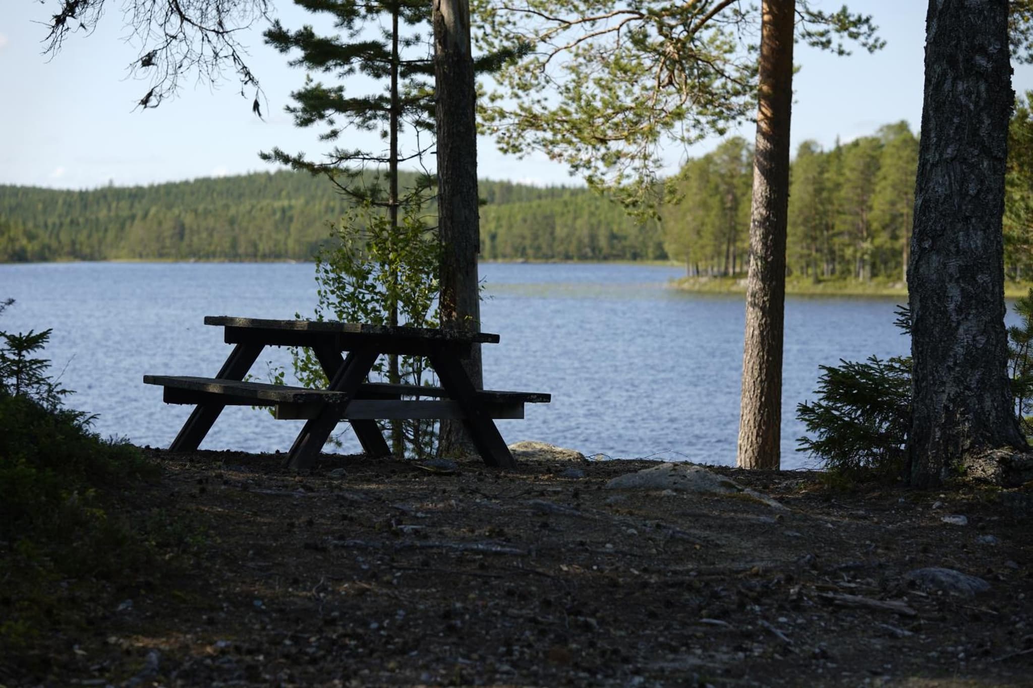Kärrsjögården photo 7
