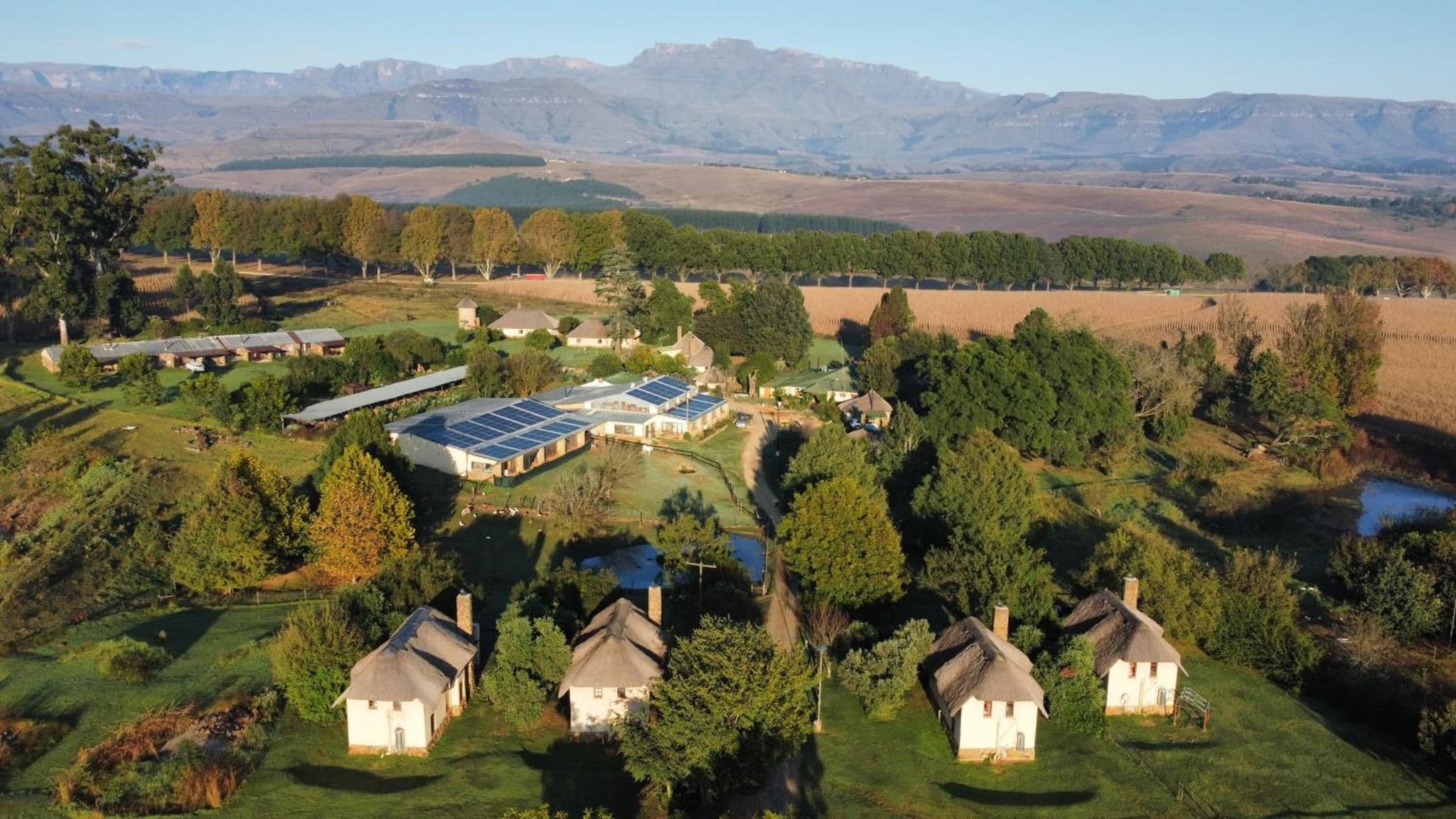 Ardmore Guest Farm